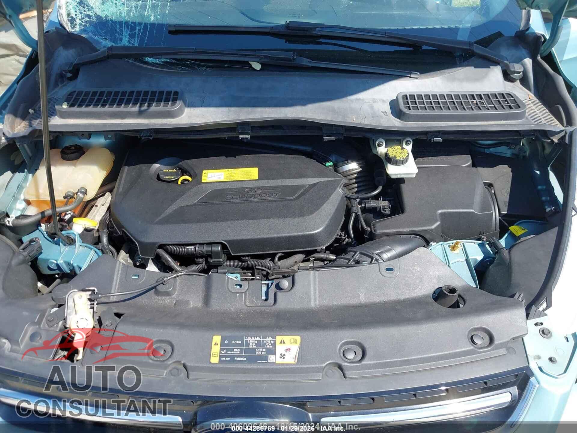 FORD ESCAPE 2013 - 1FMCU0HX9DUB36530