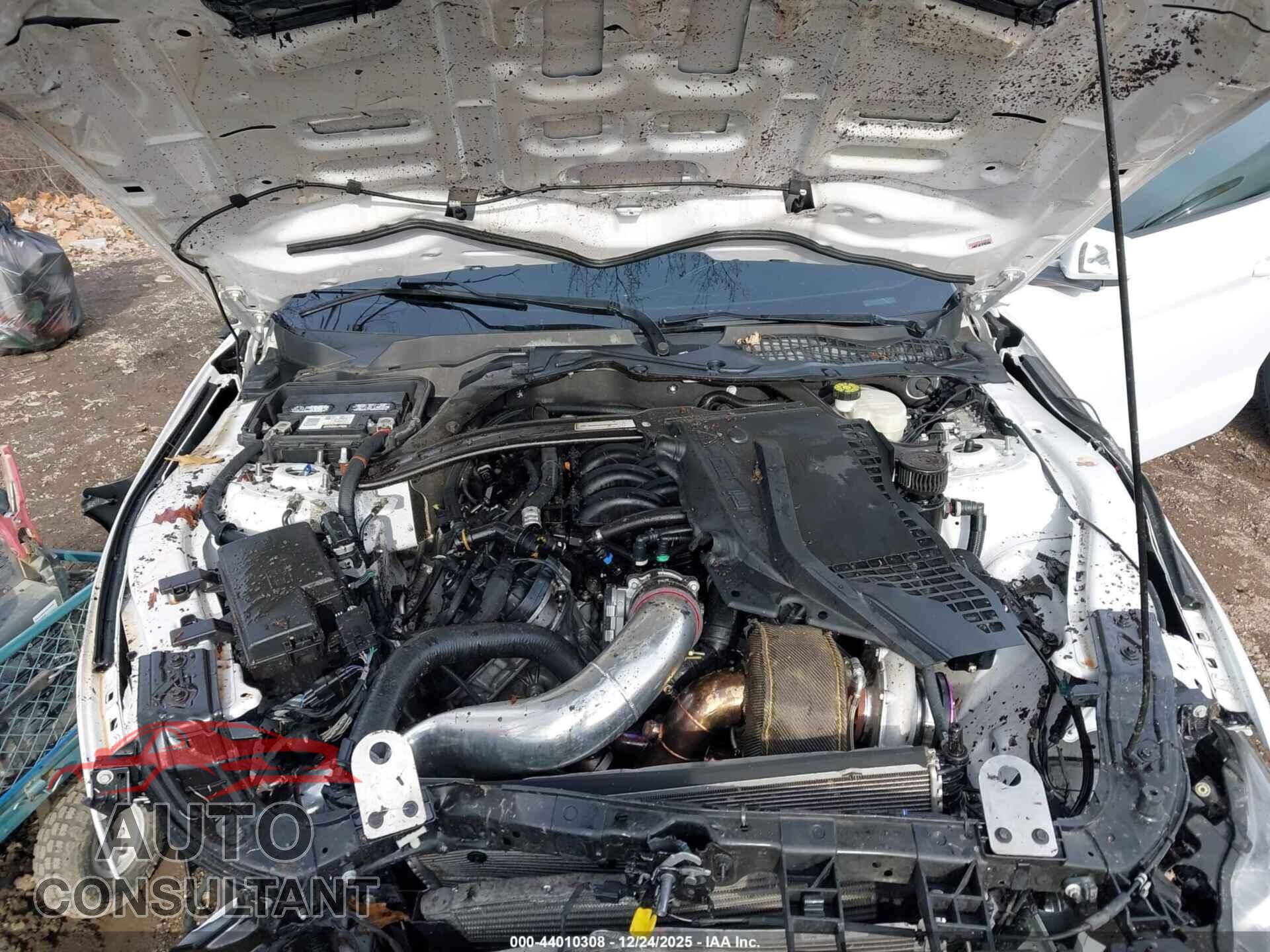 FORD MUSTANG 2021 - 1FA6P8CFXM5118964