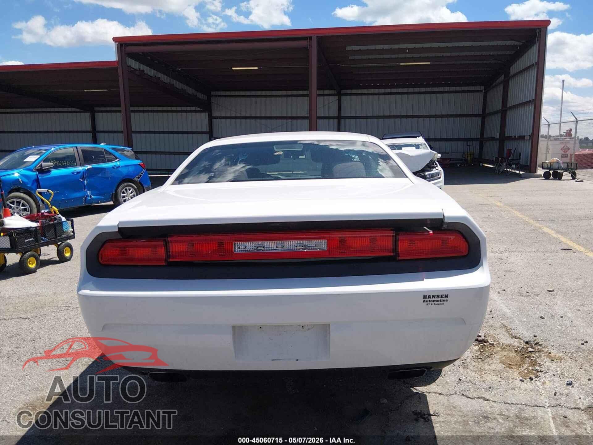 DODGE CHALLENGER 2013 - 2C3CDYAG2DH645847
