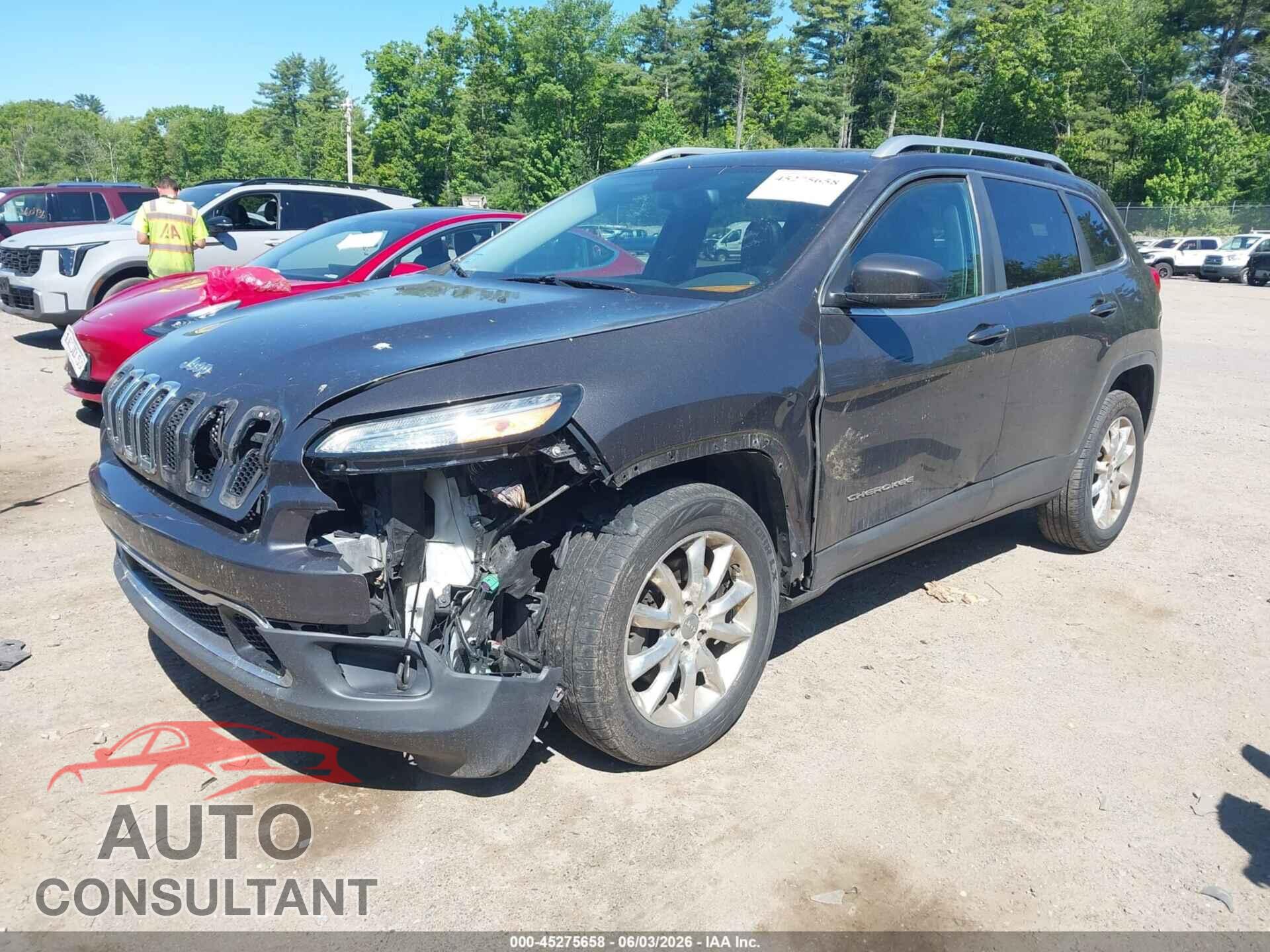 JEEP CHEROKEE 2014 - 1C4PJMDS5EW218986