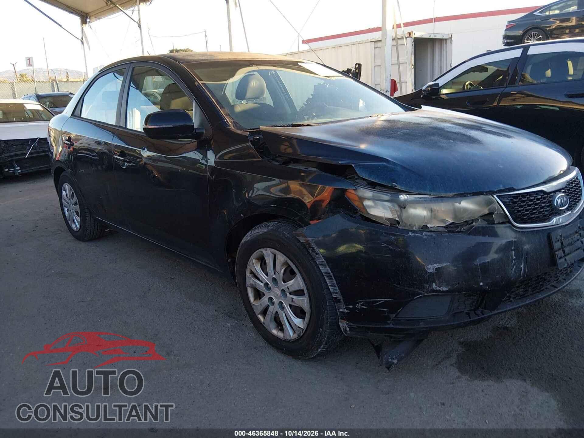 KIA FORTE 2012 - KNAFU4A20C5534299