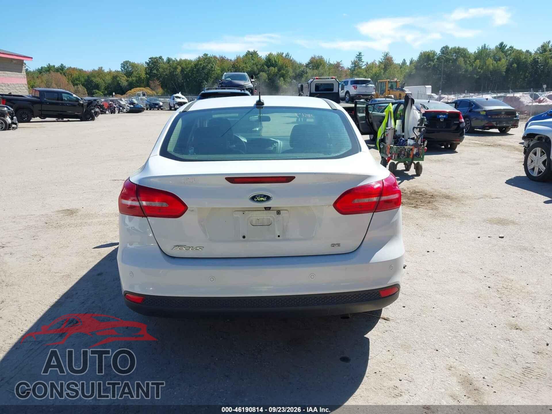 FORD FOCUS 2016 - 1FADP3F29GL330189