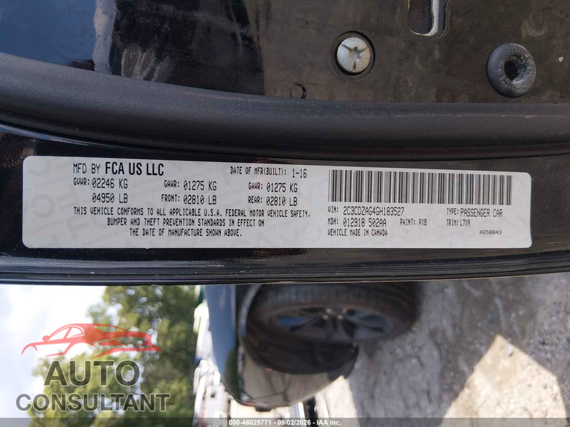 DODGE CHALLENGER 2016 - 2C3CDZAG4GH183527