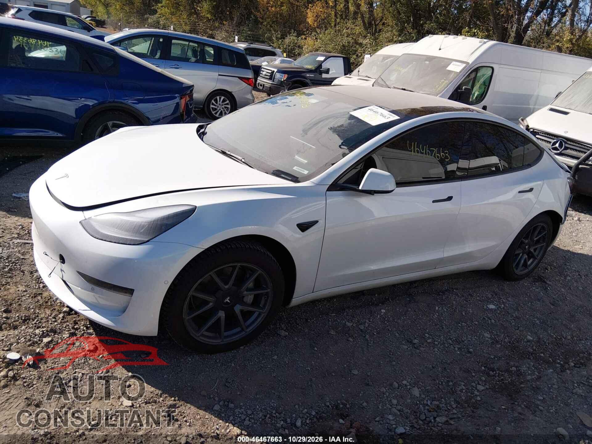 TESLA MODEL 3 2021 - 5YJ3E1EA2MF942676