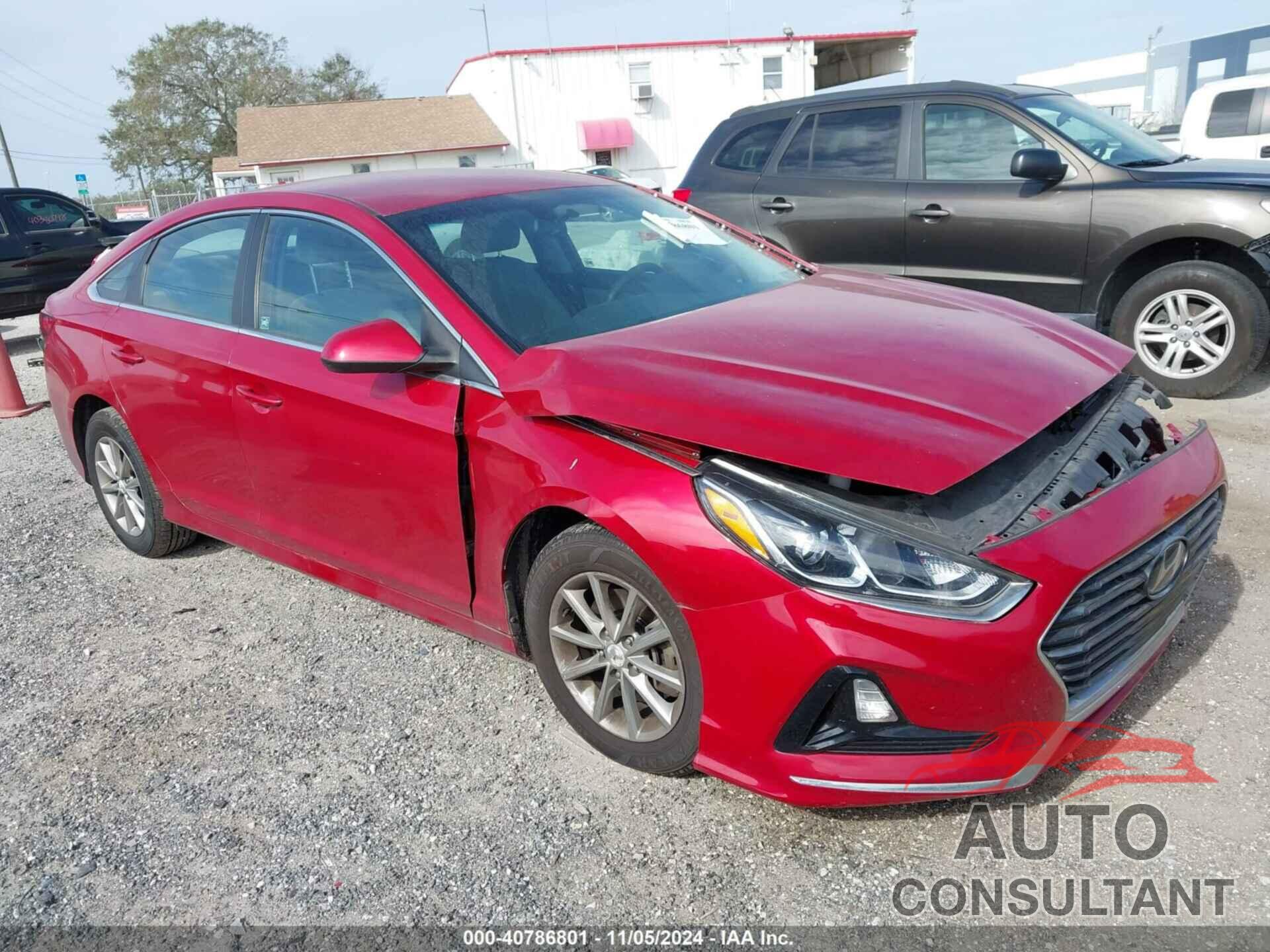 HYUNDAI SONATA 2019 - 5NPE24AF0KH819736