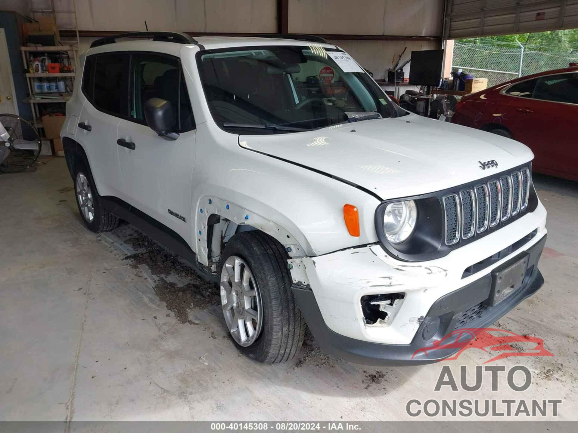 JEEP RENEGADE 2019 - ZACNJBAB4KPK33324