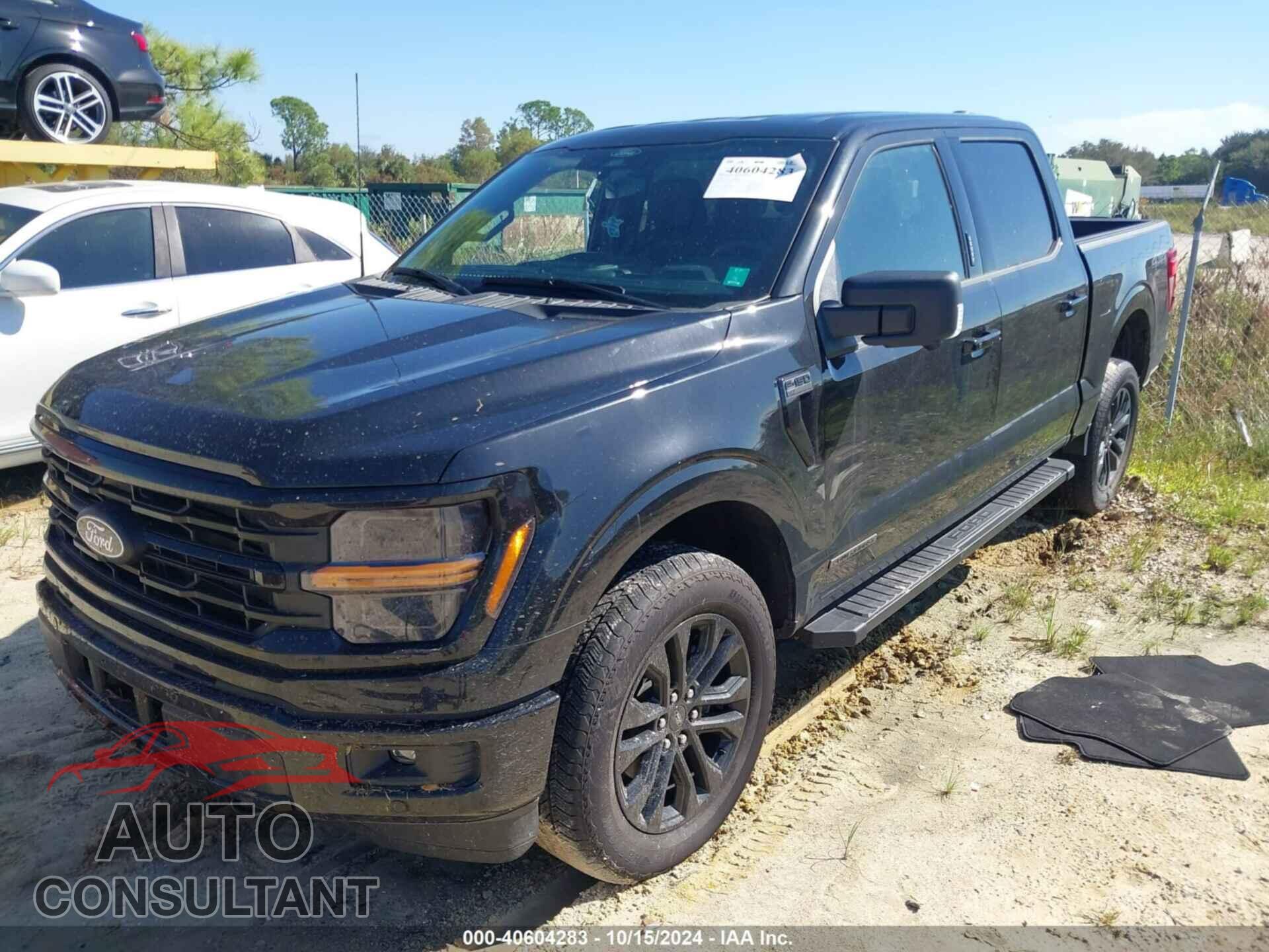 FORD F-150 2024 - 1FTFW3LD7RFA09457