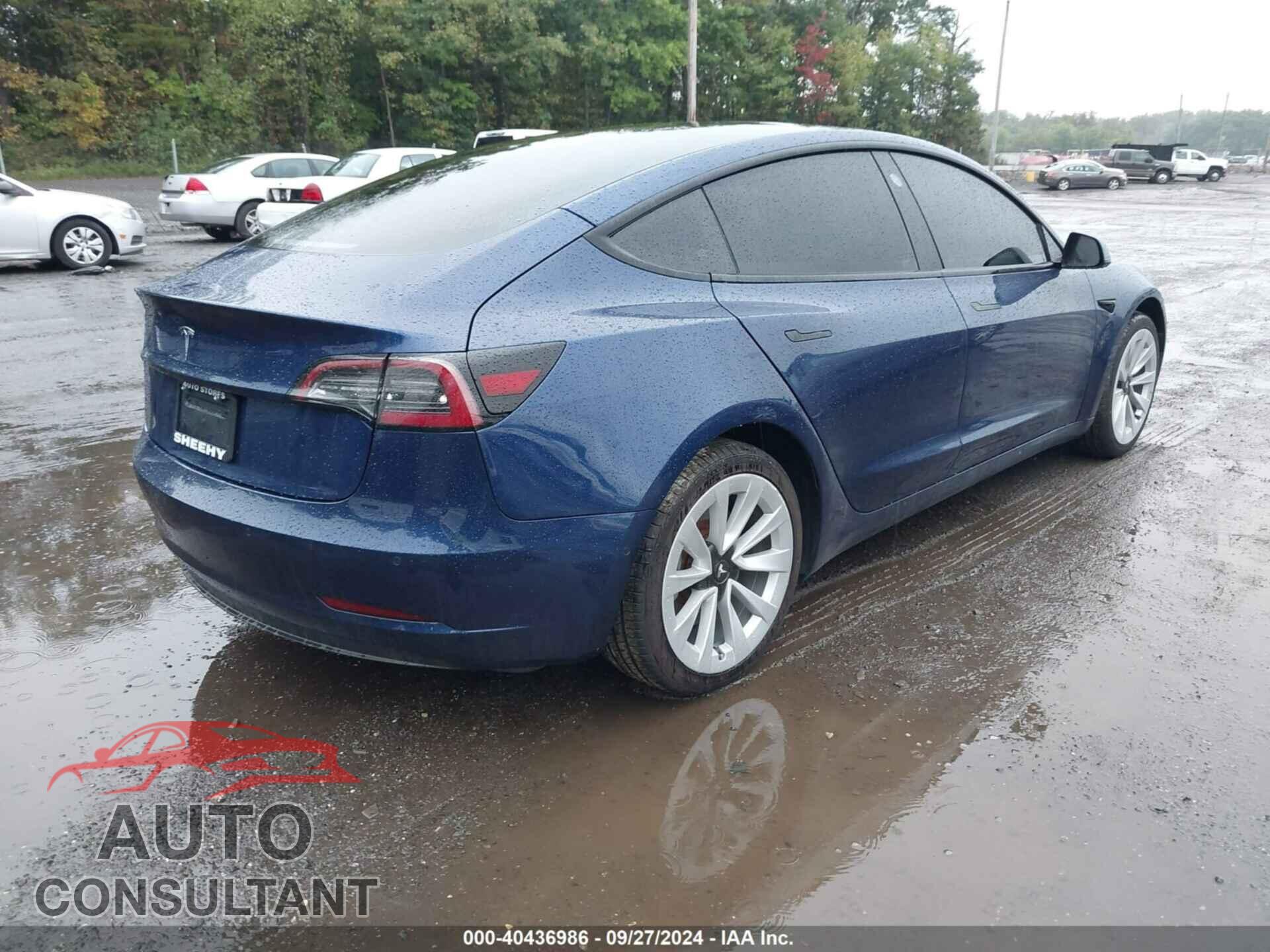 TESLA MODEL 3 2022 - 5YJ3E1EA7NF186411
