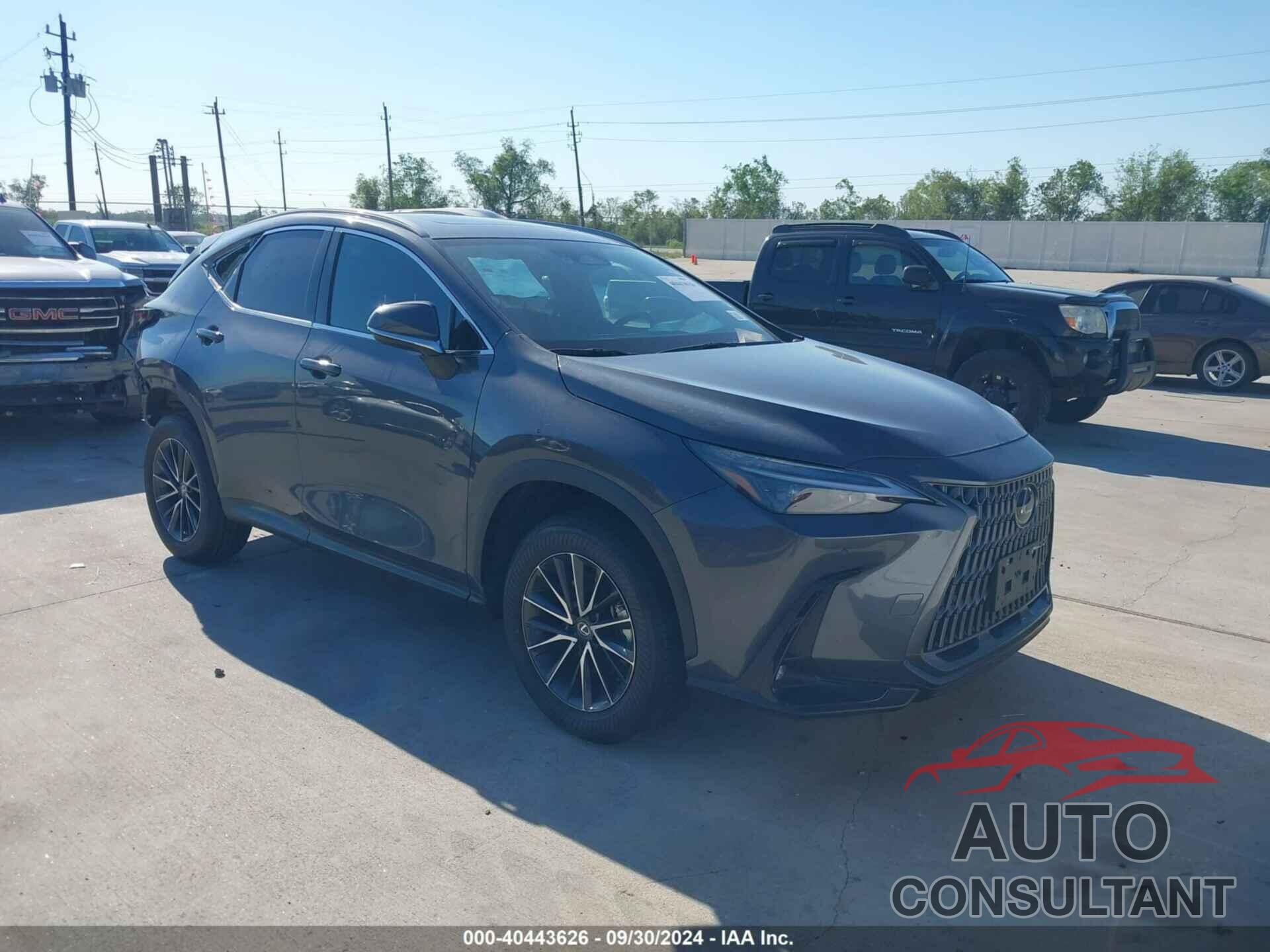 LEXUS NX 2024 - 2T2GDCAZ8RC013529