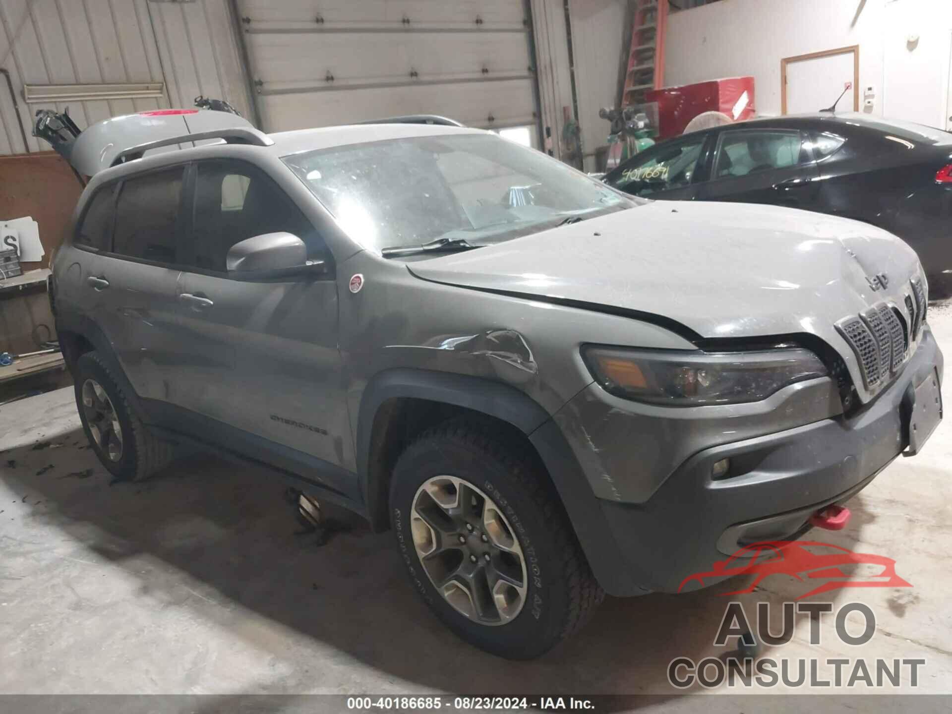 JEEP CHEROKEE 2019 - 1C4PJMBX3KD468569