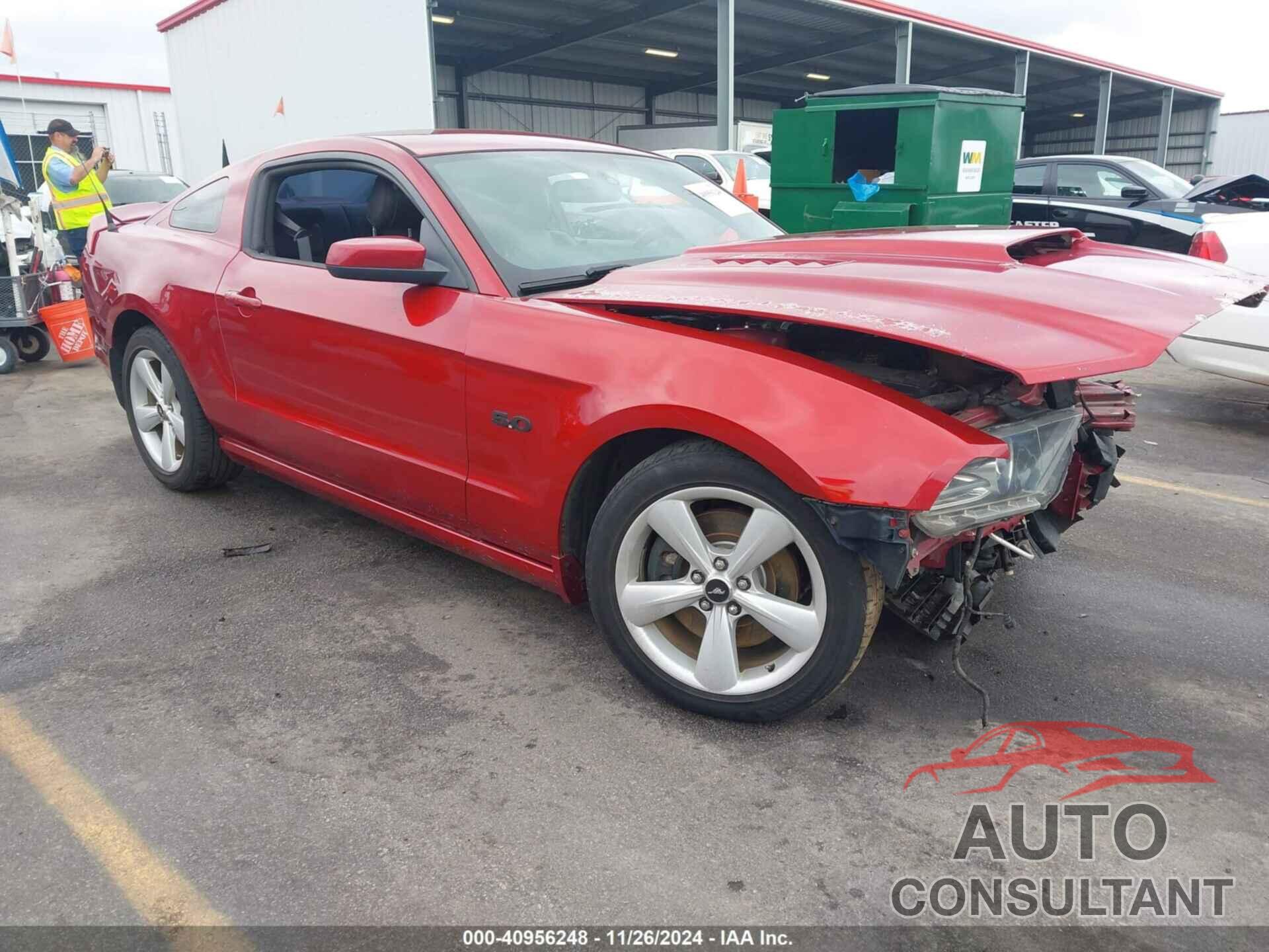 FORD MUSTANG 2013 - 1ZVBP8CF9D5223212