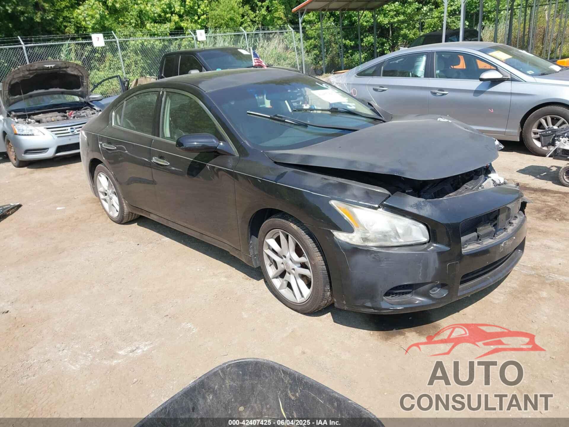 NISSAN MAXIMA 2010 - 1N4AA5AP5AC801037