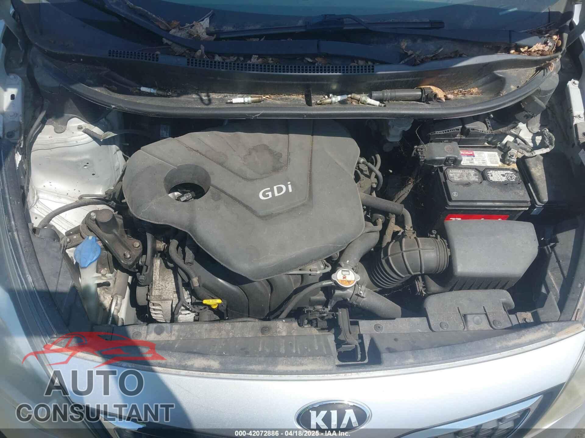 KIA RIO 2014 - KNADN4A34E6352924