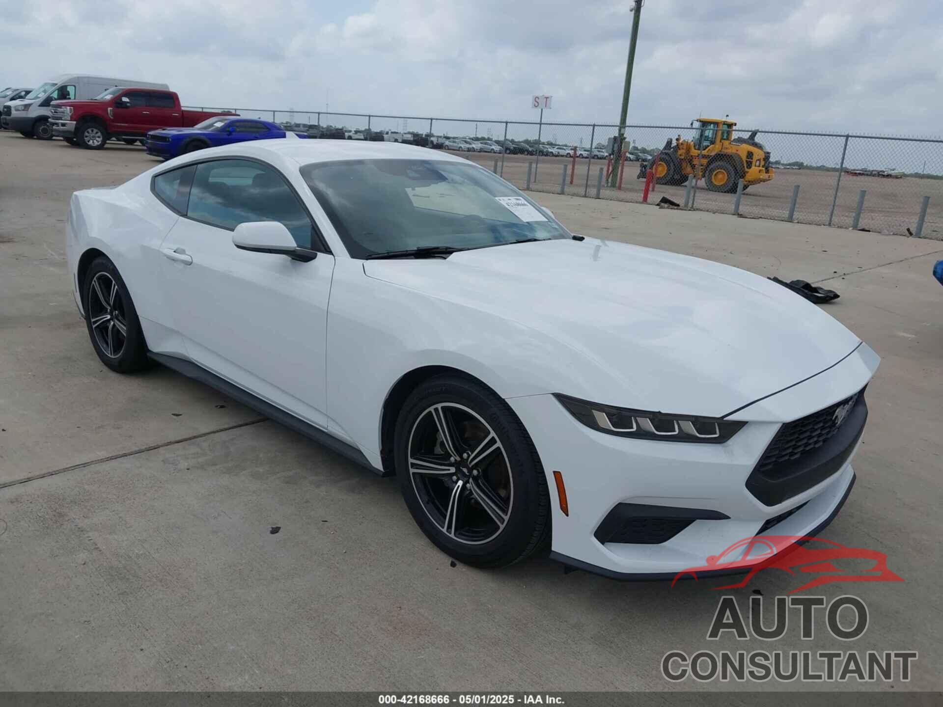 FORD MUSTANG 2024 - 1FA6P8TH3R5139955