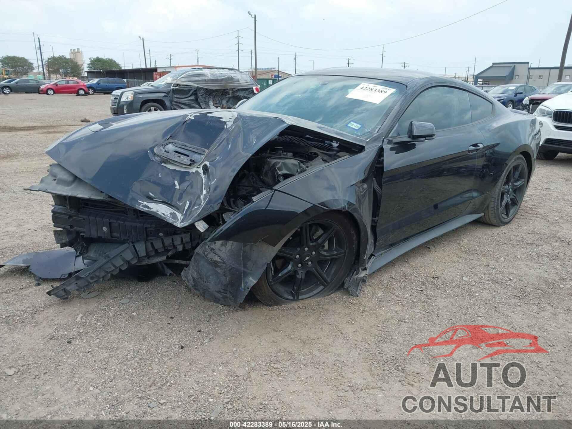 FORD MUSTANG 2019 - 1FA6P8THXK5125833