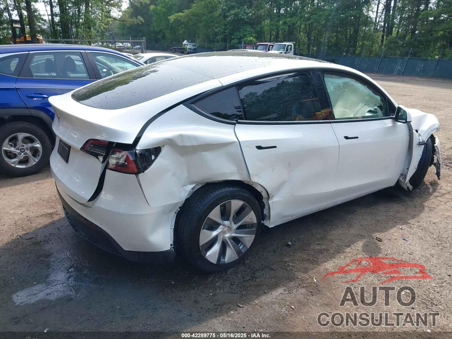 TESLA MODEL Y 2021 - 5YJYGAED8MF173496