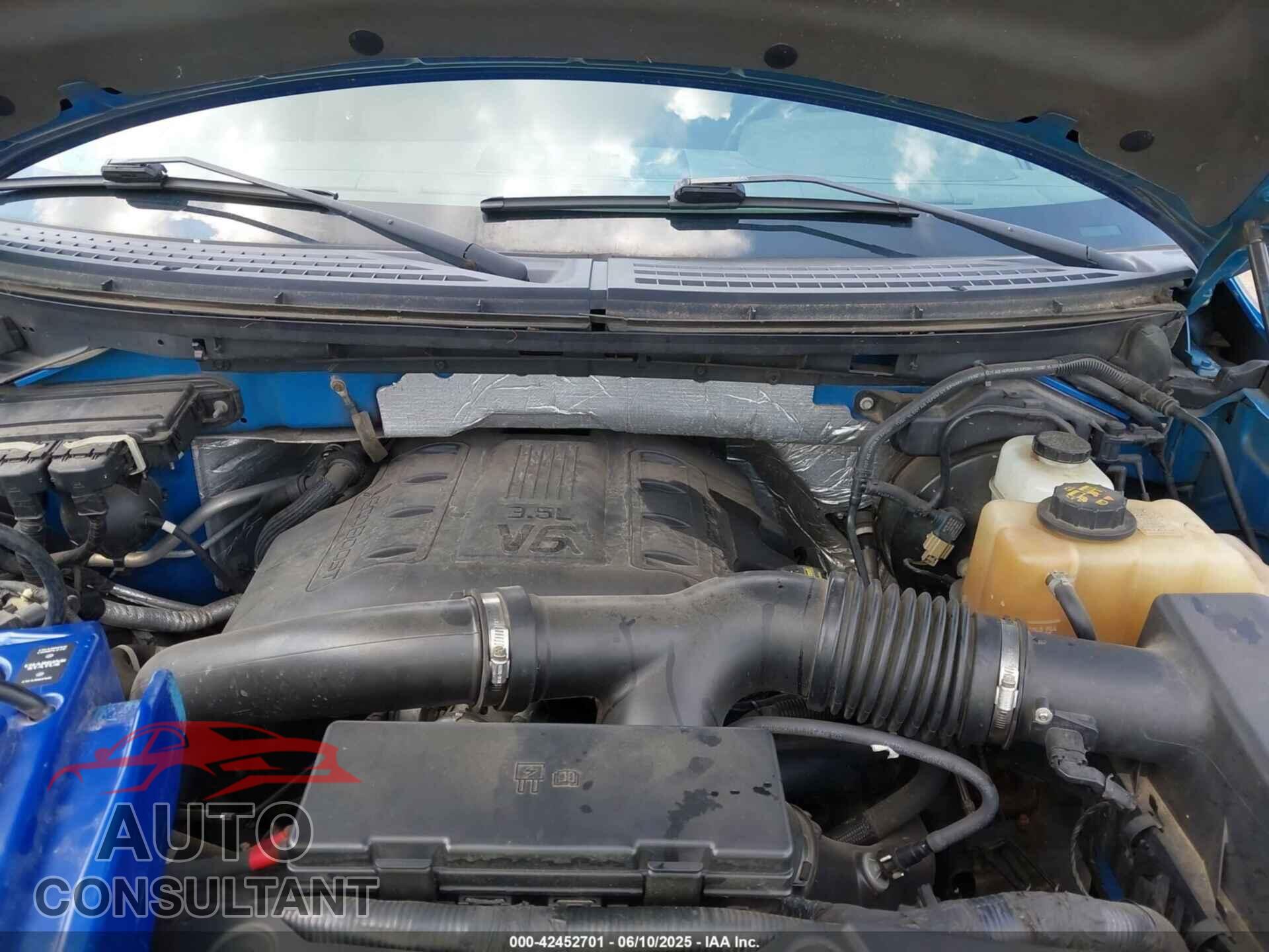 FORD F-150 2011 - 1FTFW1ET6BFD34552