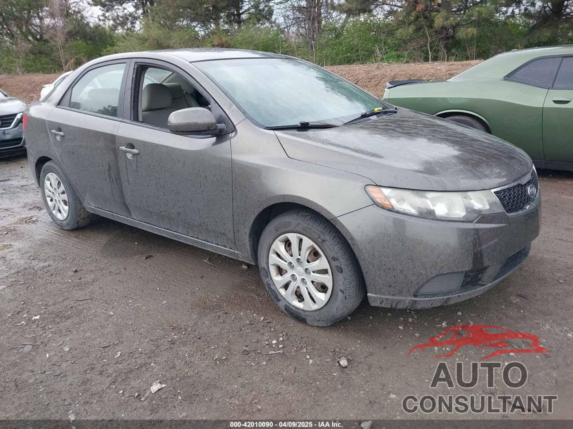 KIA FORTE 2011 - KNAFU4A2XB5886417