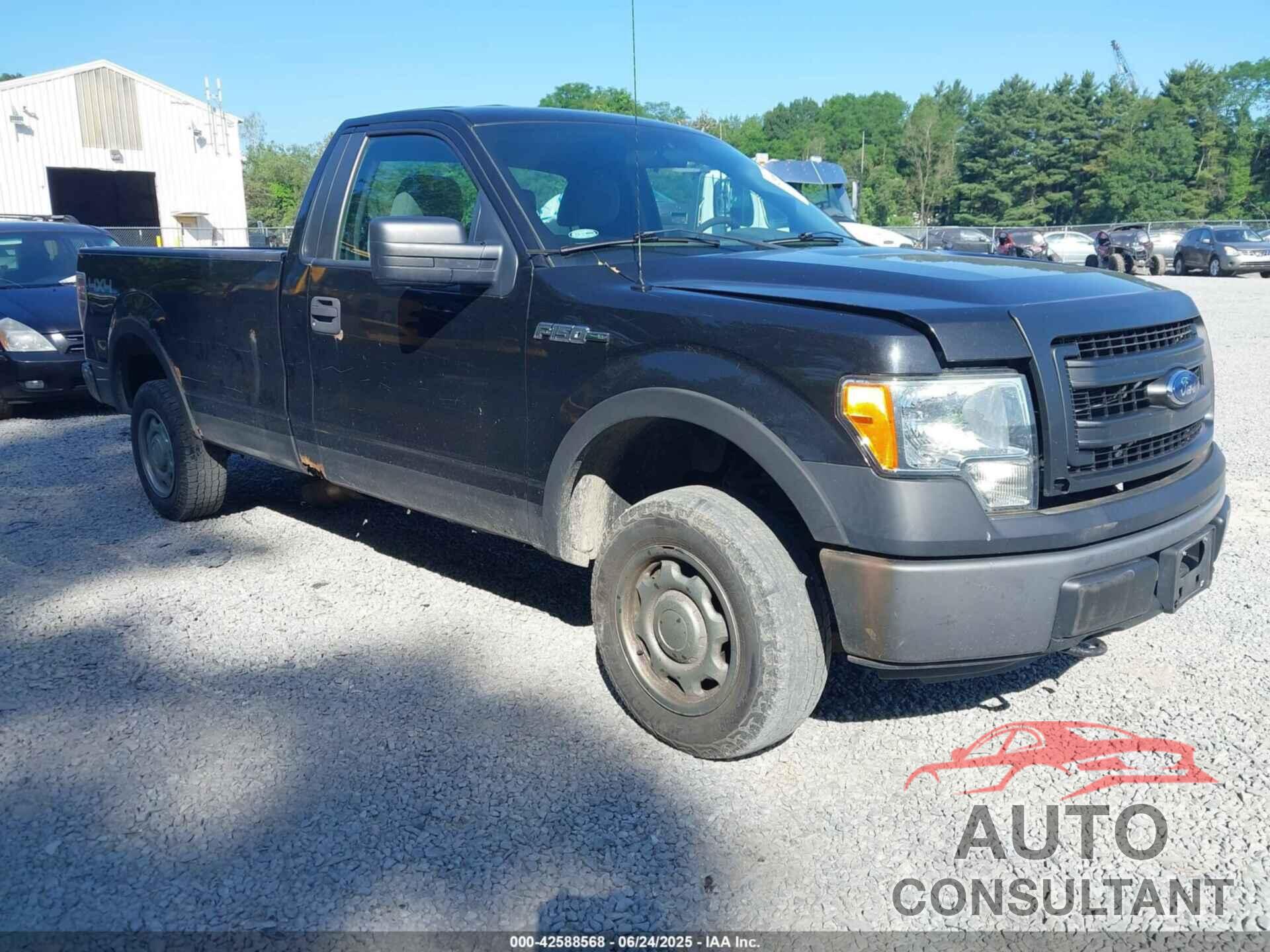 FORD F-150 2013 - 1FTMF1EMXDKD86051