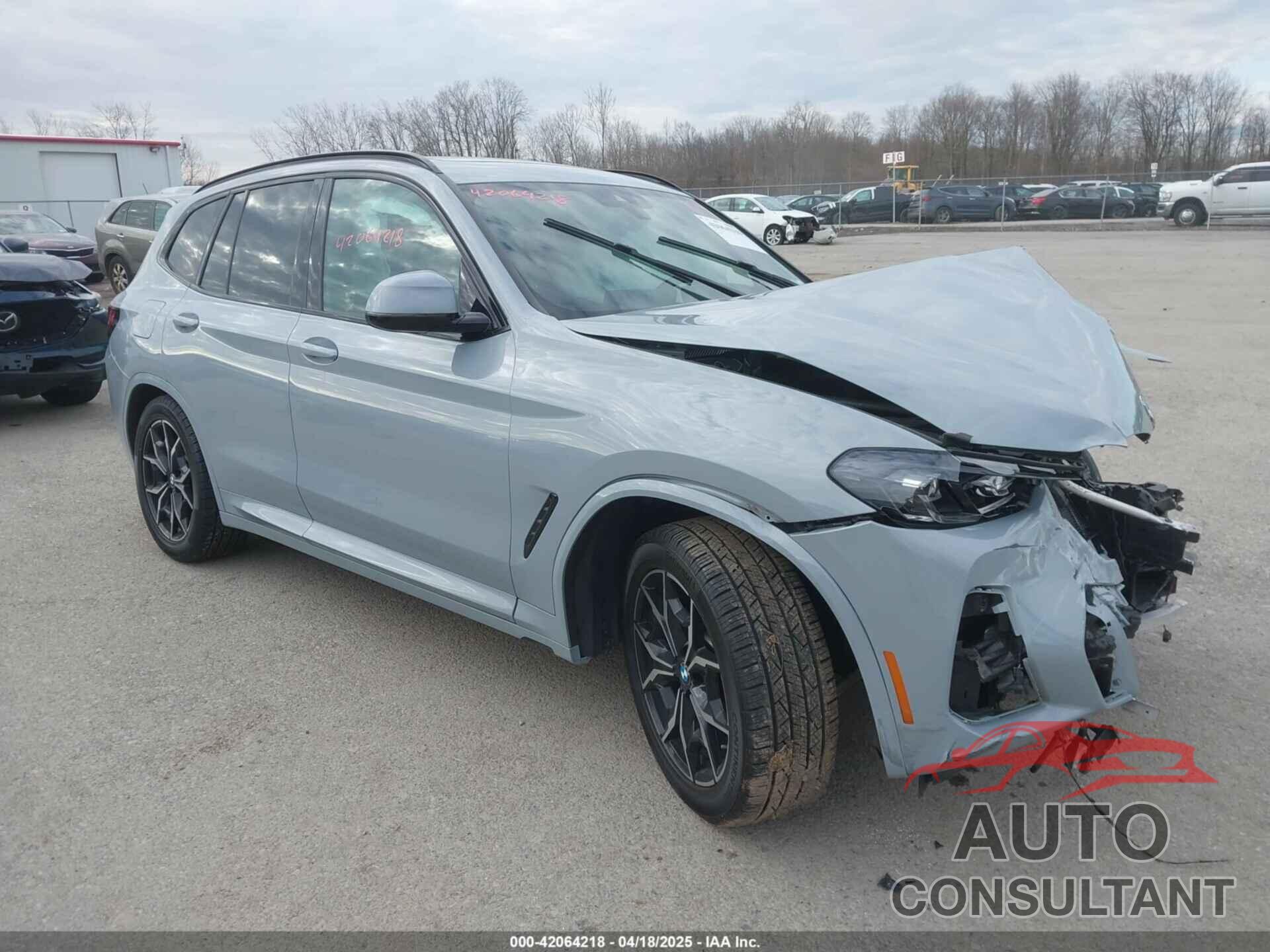 BMW X3 2023 - 5UX53DP06P9P05626