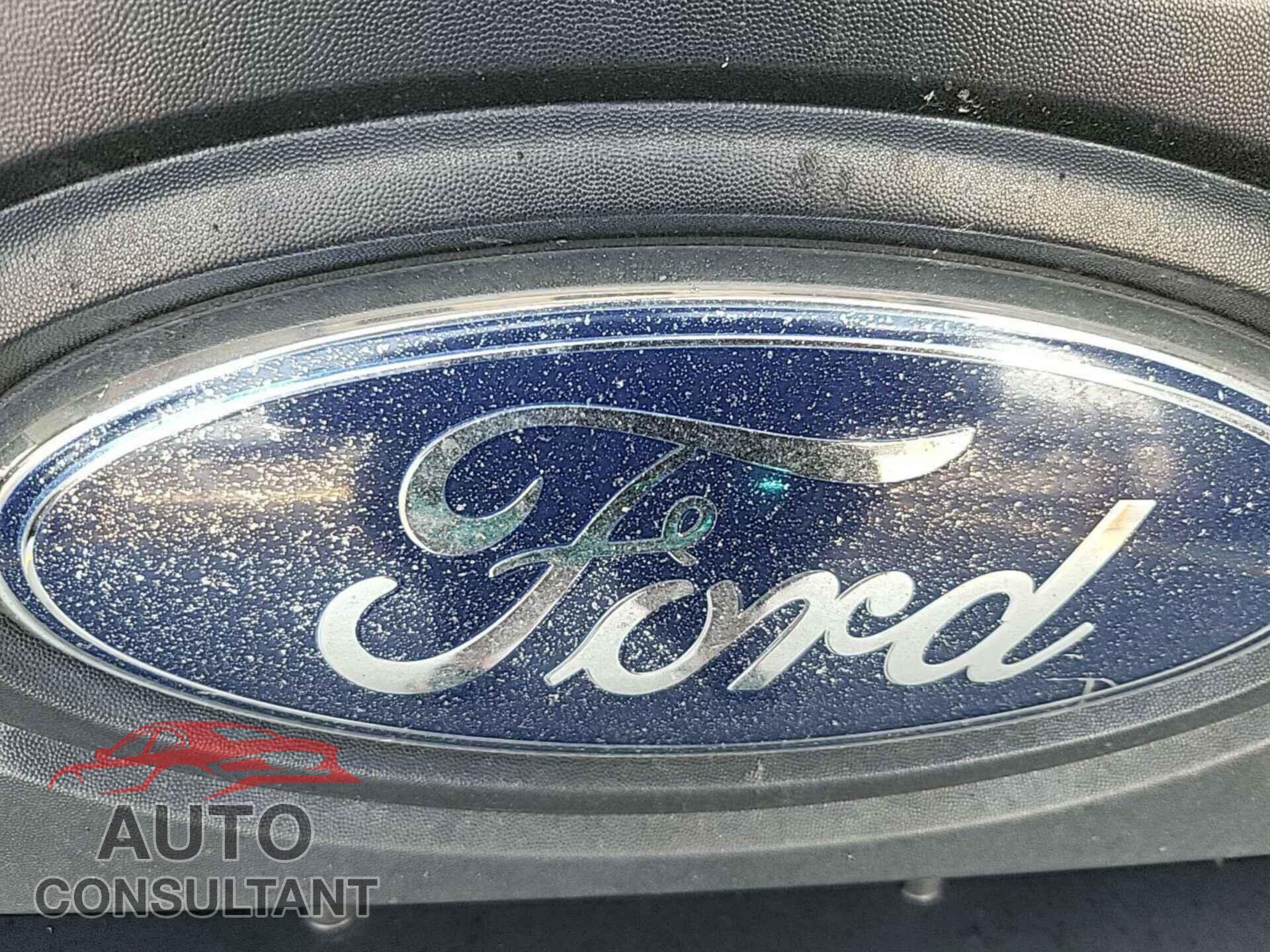FORD ECONOLINE 2013 - 1FTSS3EL0DDA98999