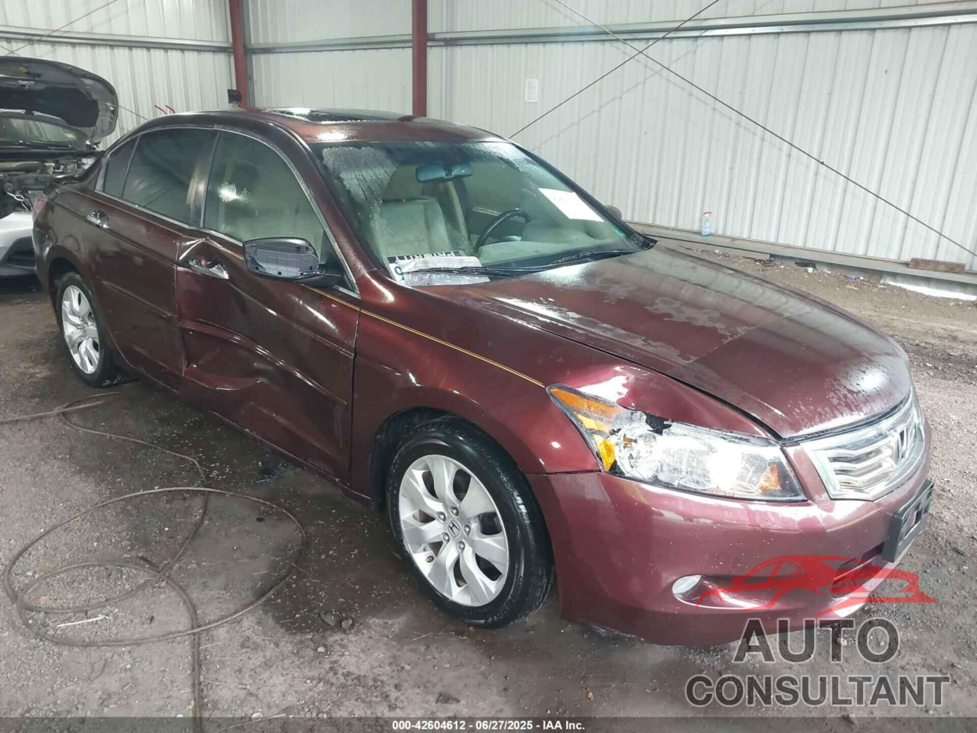 HONDA ACCORD 2010 - 5KBCP3F86AB014772