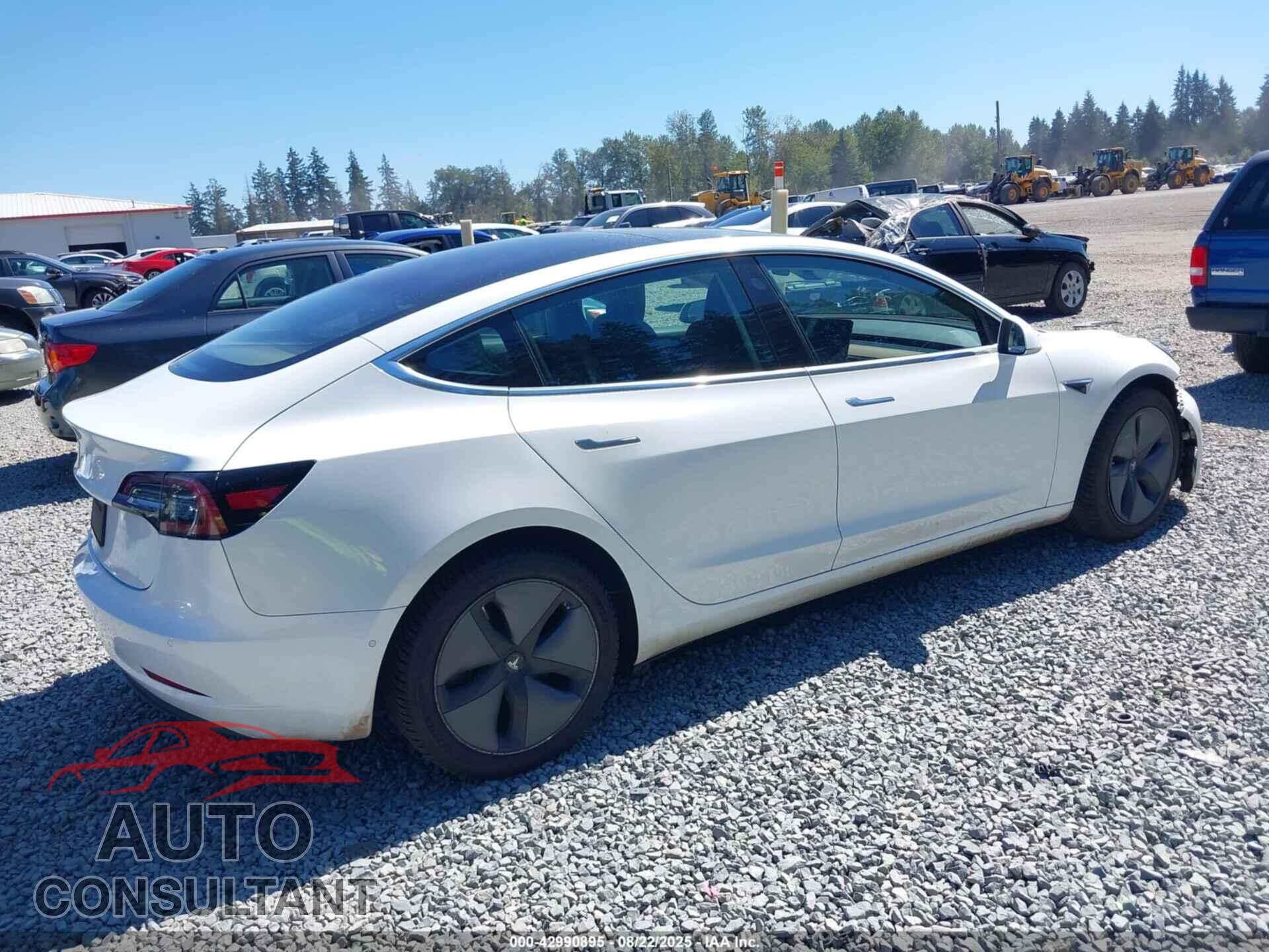 TESLA MODEL 3 2019 - 5YJ3E1EA0KF310031
