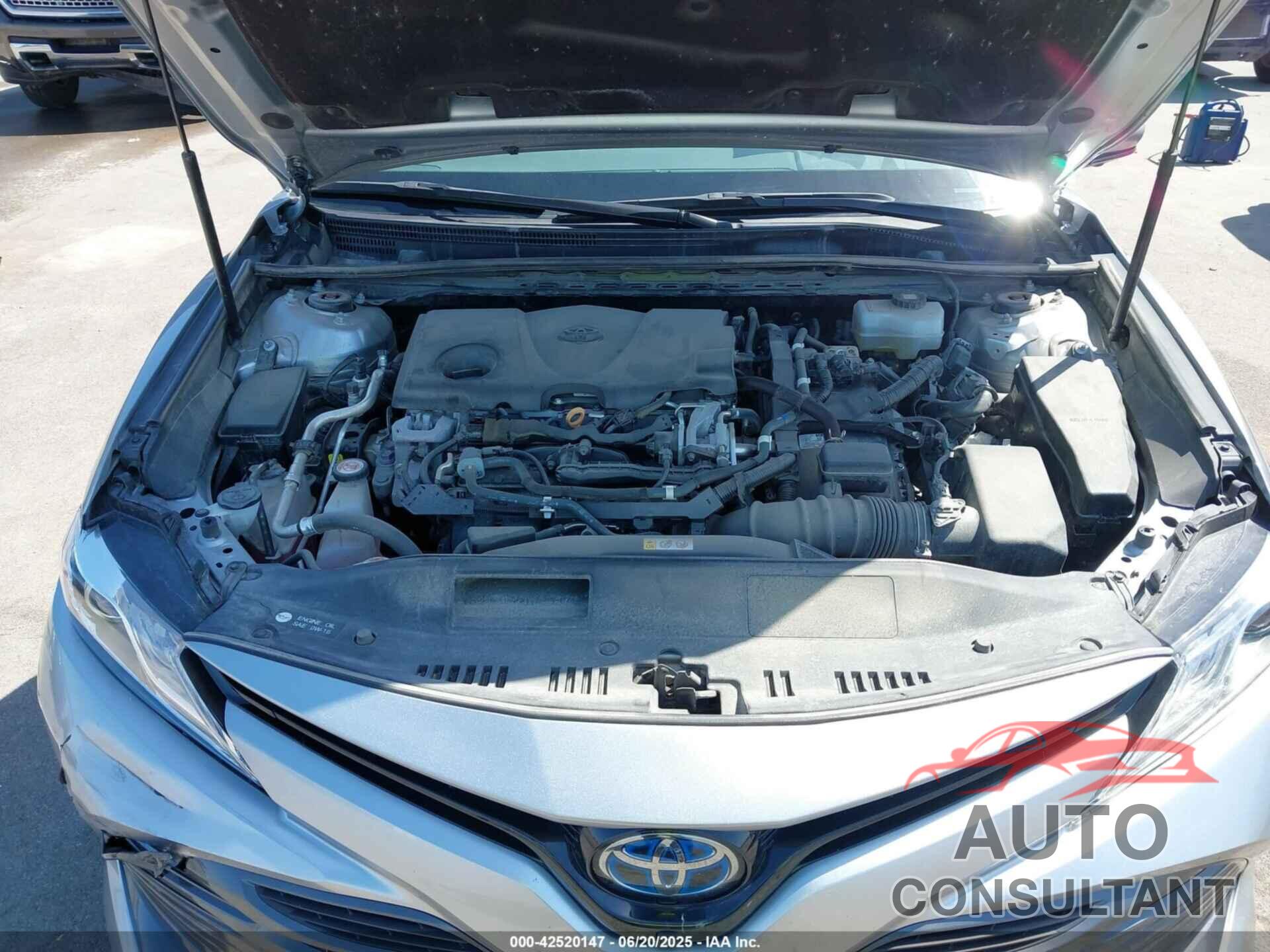 TOYOTA CAMRY 2019 - 4T1B21HK1KU515160