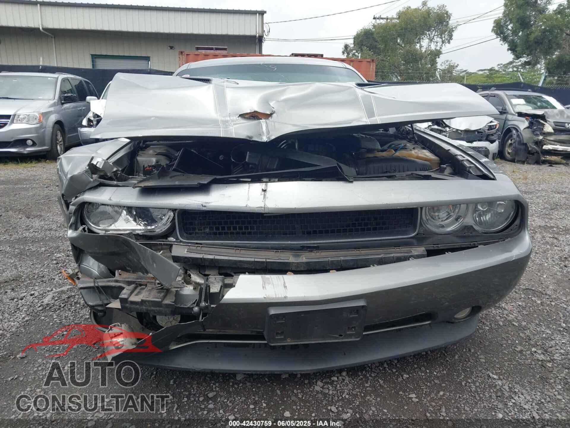 DODGE CHALLENGER 2012 - 2C3CDYAG4CH239261