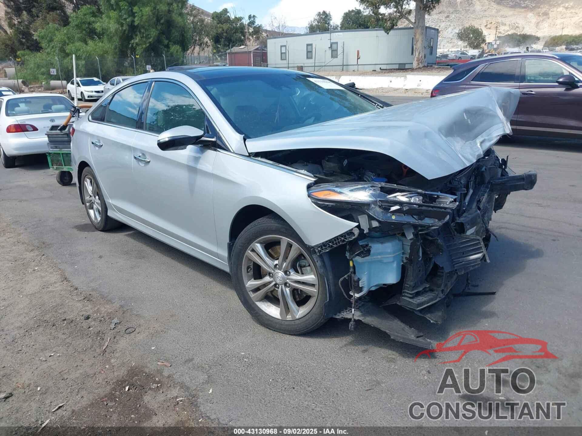 HYUNDAI SONATA 2019 - 5NPE34AF3KH814446