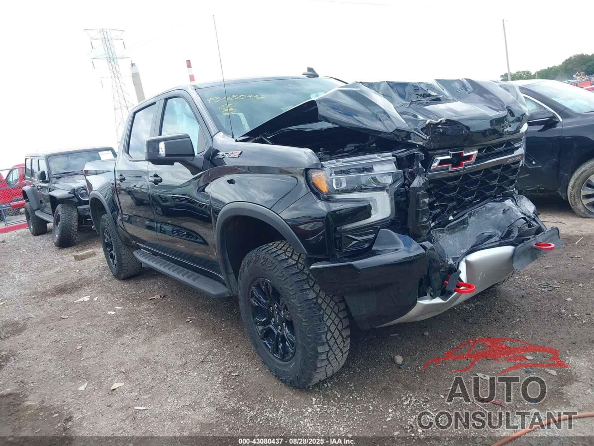 CHEVROLET SILVERADO 1500 2024 - 3GCUDHEL8RG325057