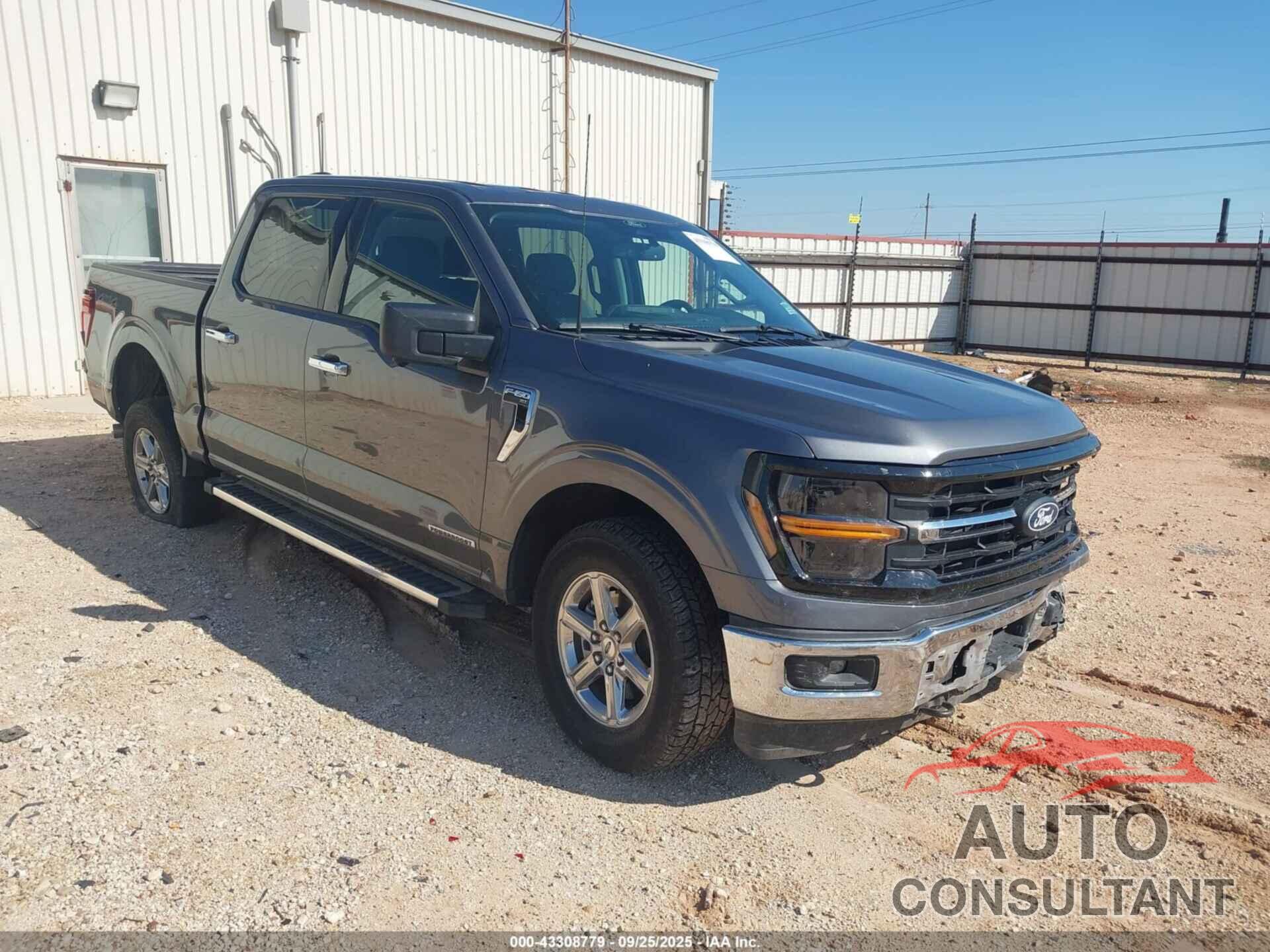 FORD F-150 2024 - 1FTFW3LDXRFA19772