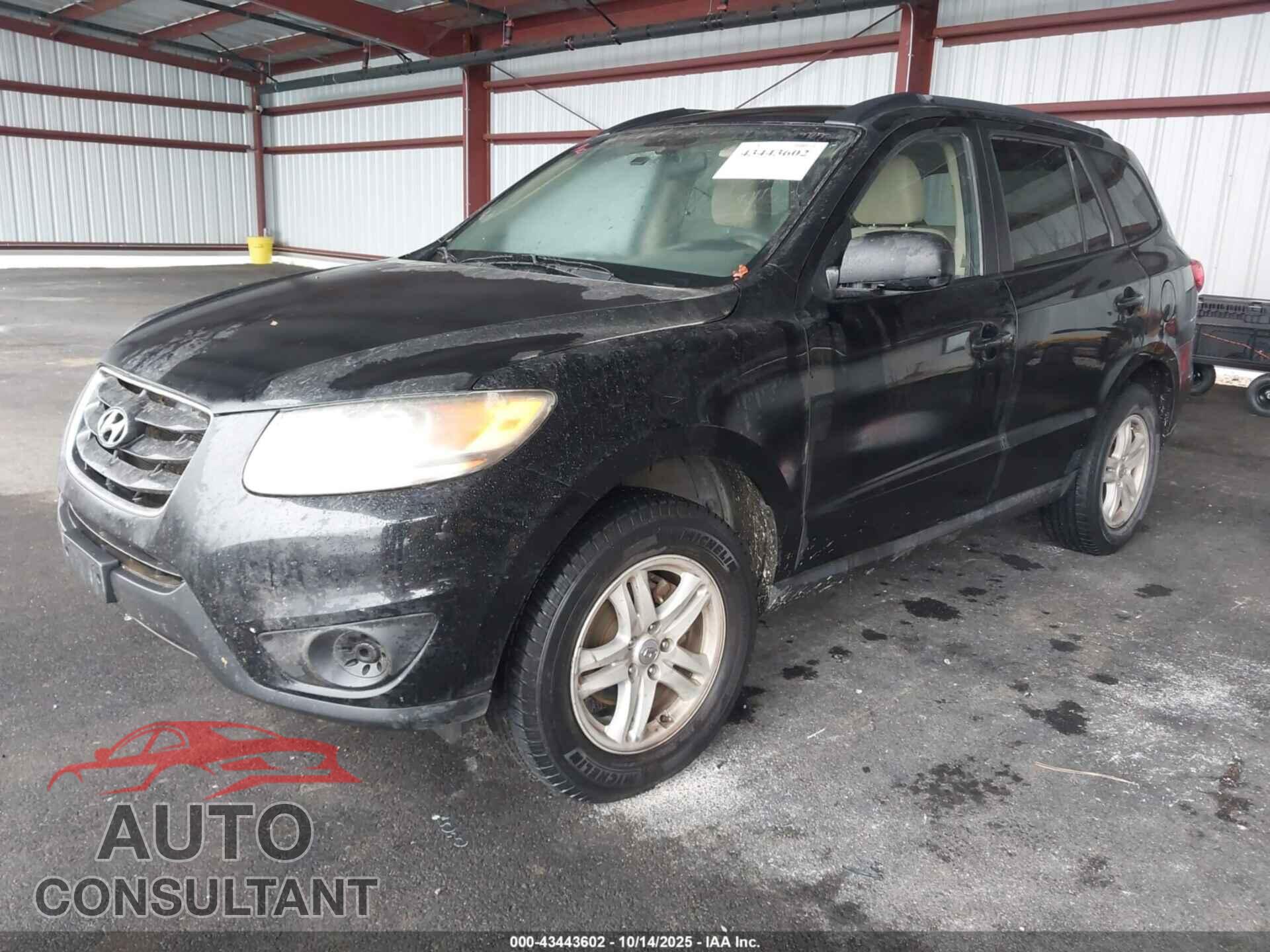 HYUNDAI SANTA FE 2010 - 5NMSG3AB6AH394451