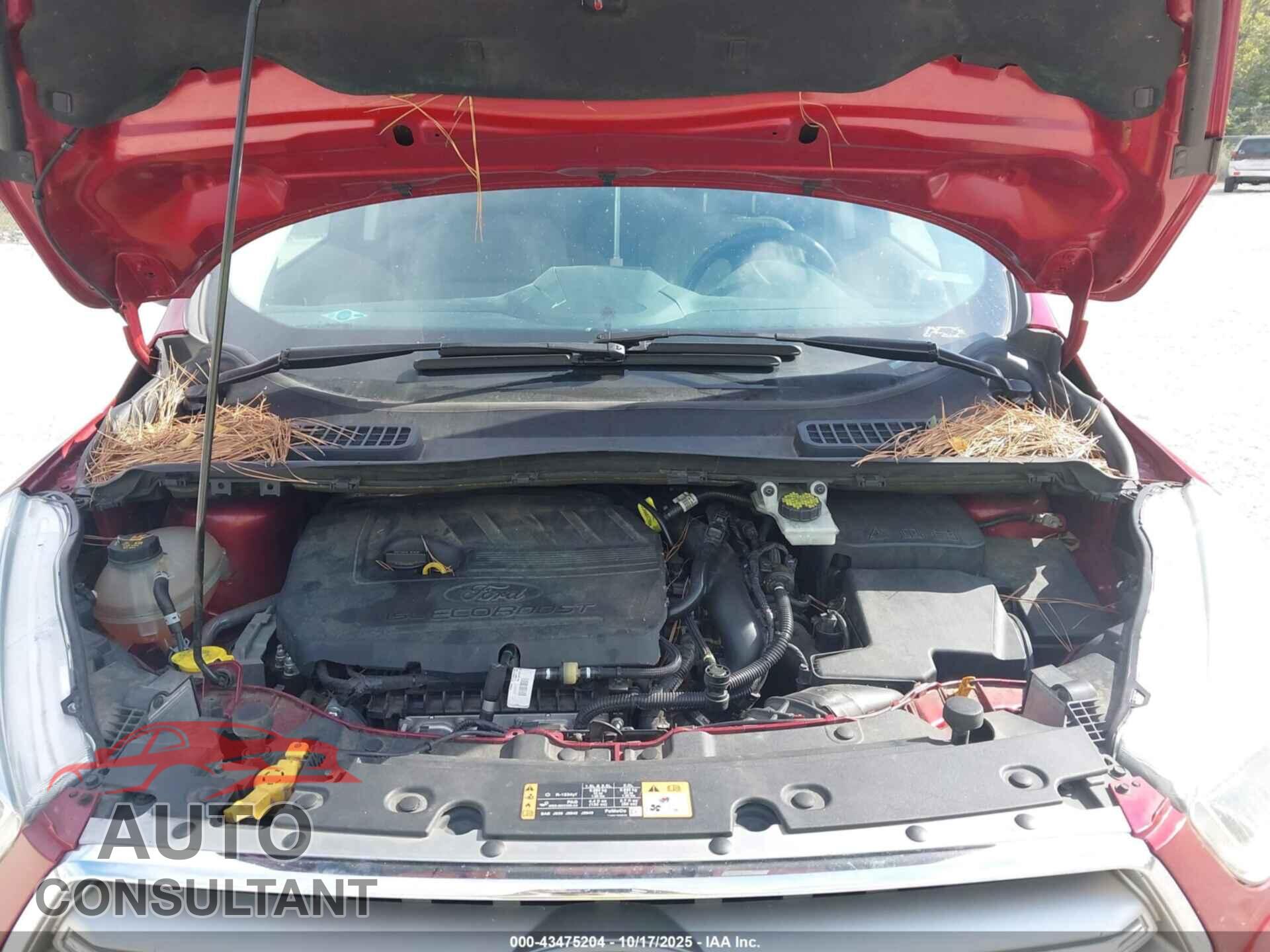 FORD ESCAPE 2017 - 1FMCU0JD4HUC39683