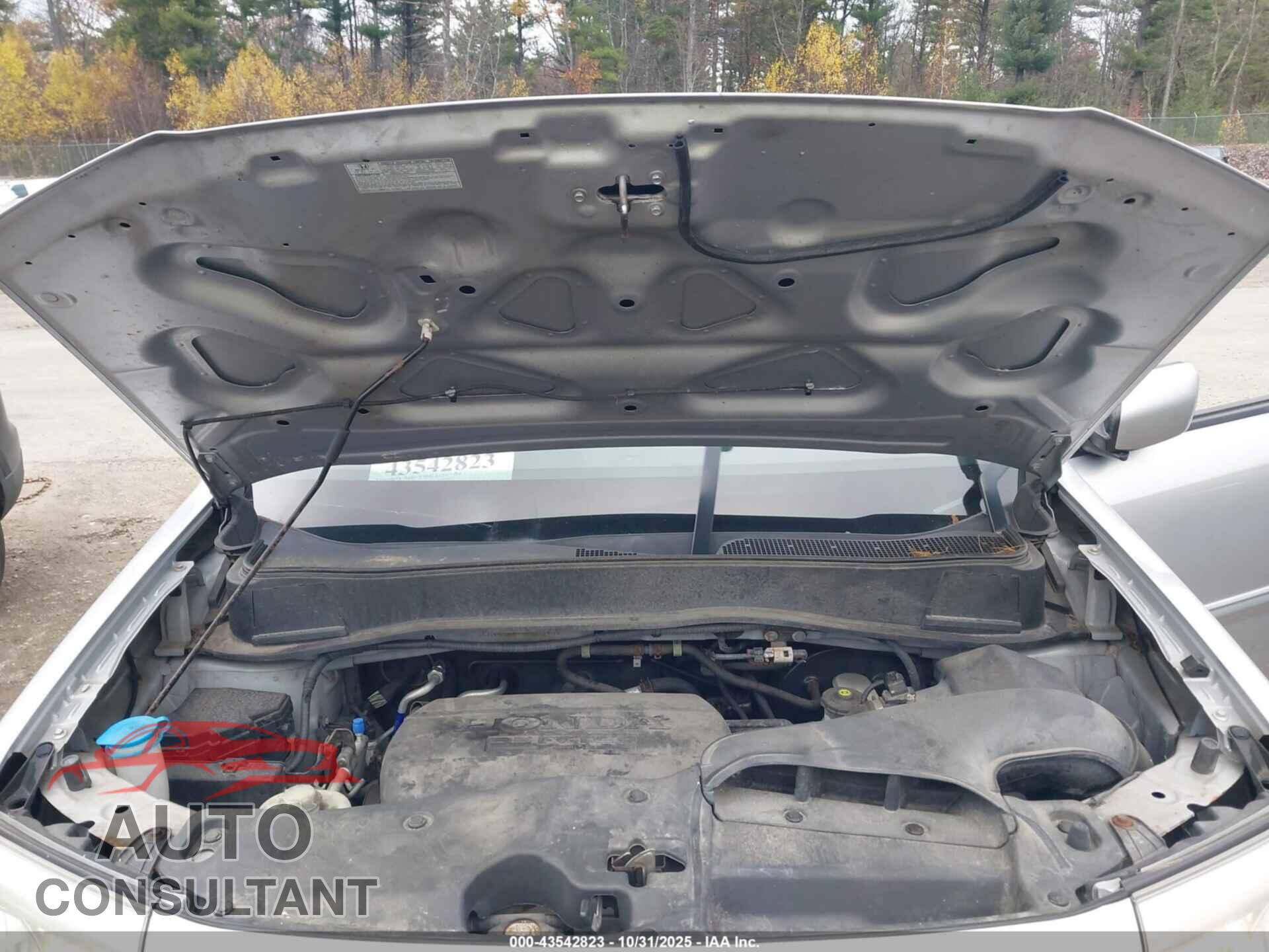 HONDA PILOT 2011 - 5FNYF4H42BB055909
