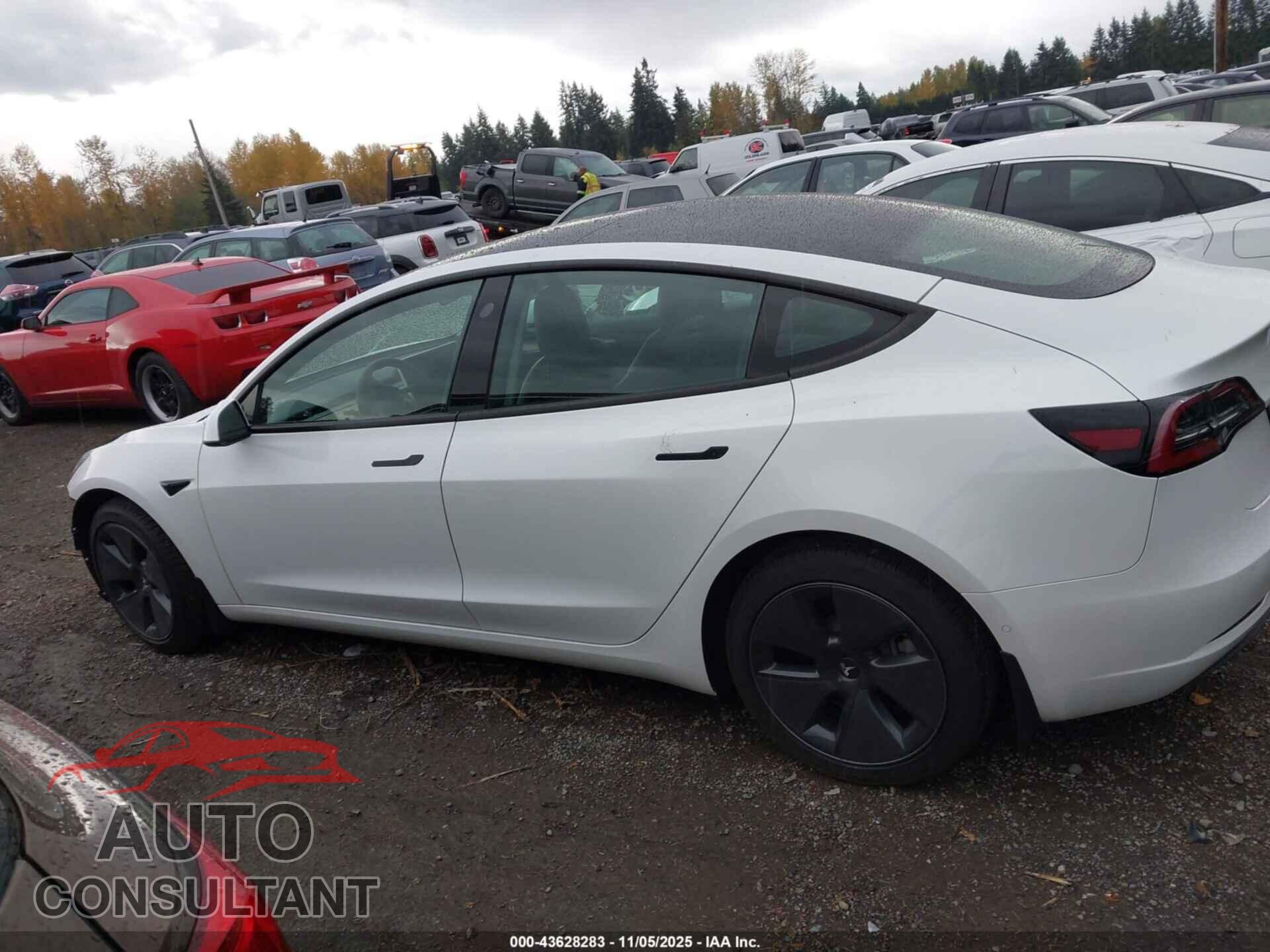 TESLA MODEL 3 2021 - 5YJ3E1EB3MF003111