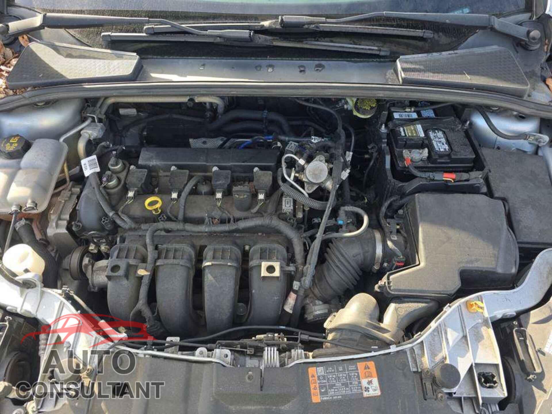 FORD FOCUS 2016 - 1FADP3E25GL366074