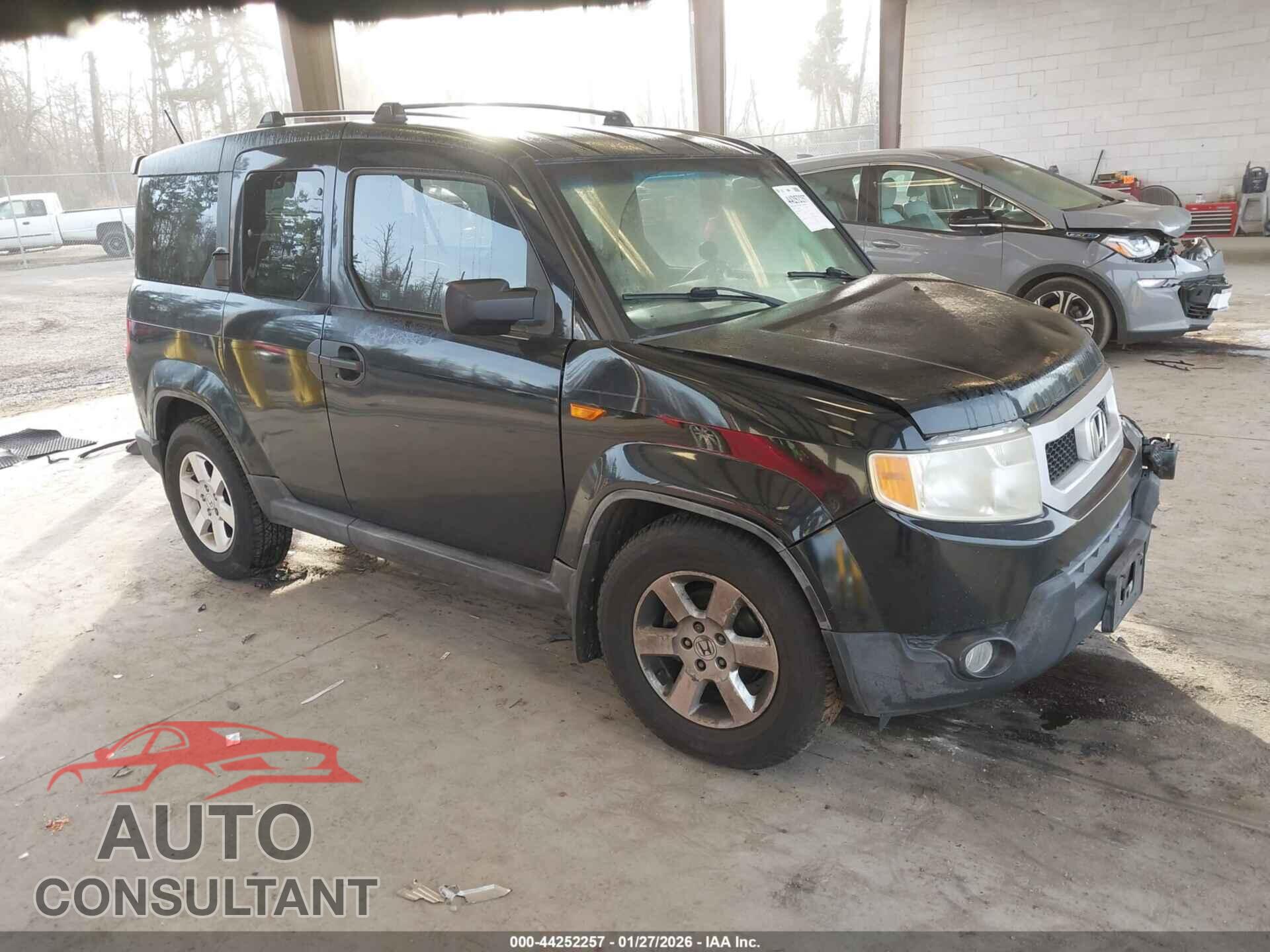 HONDA ELEMENT 2009 - 5J6YH18719L003269