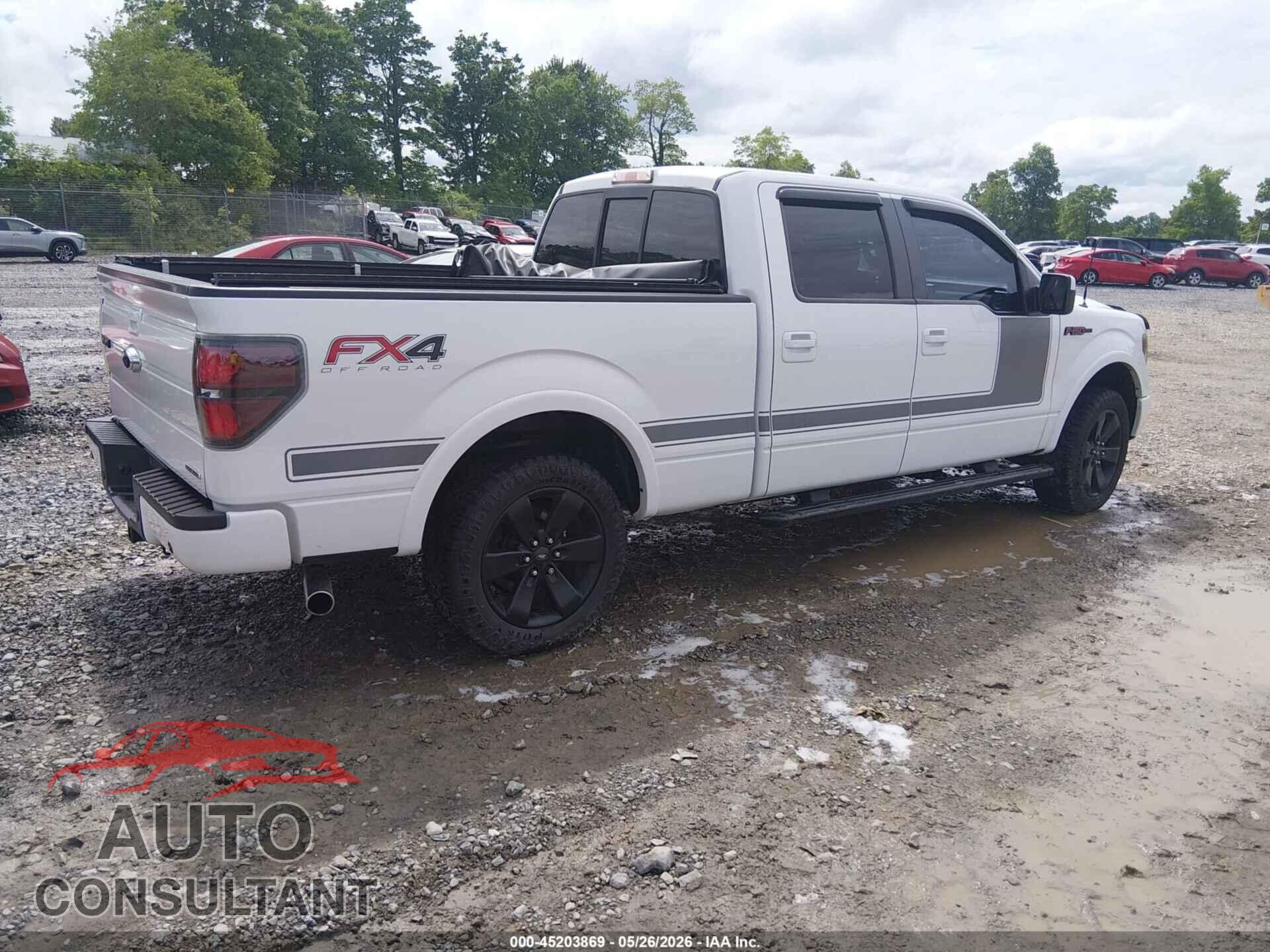 FORD F-150 2013 - 1FTFW1EFXDFD58317