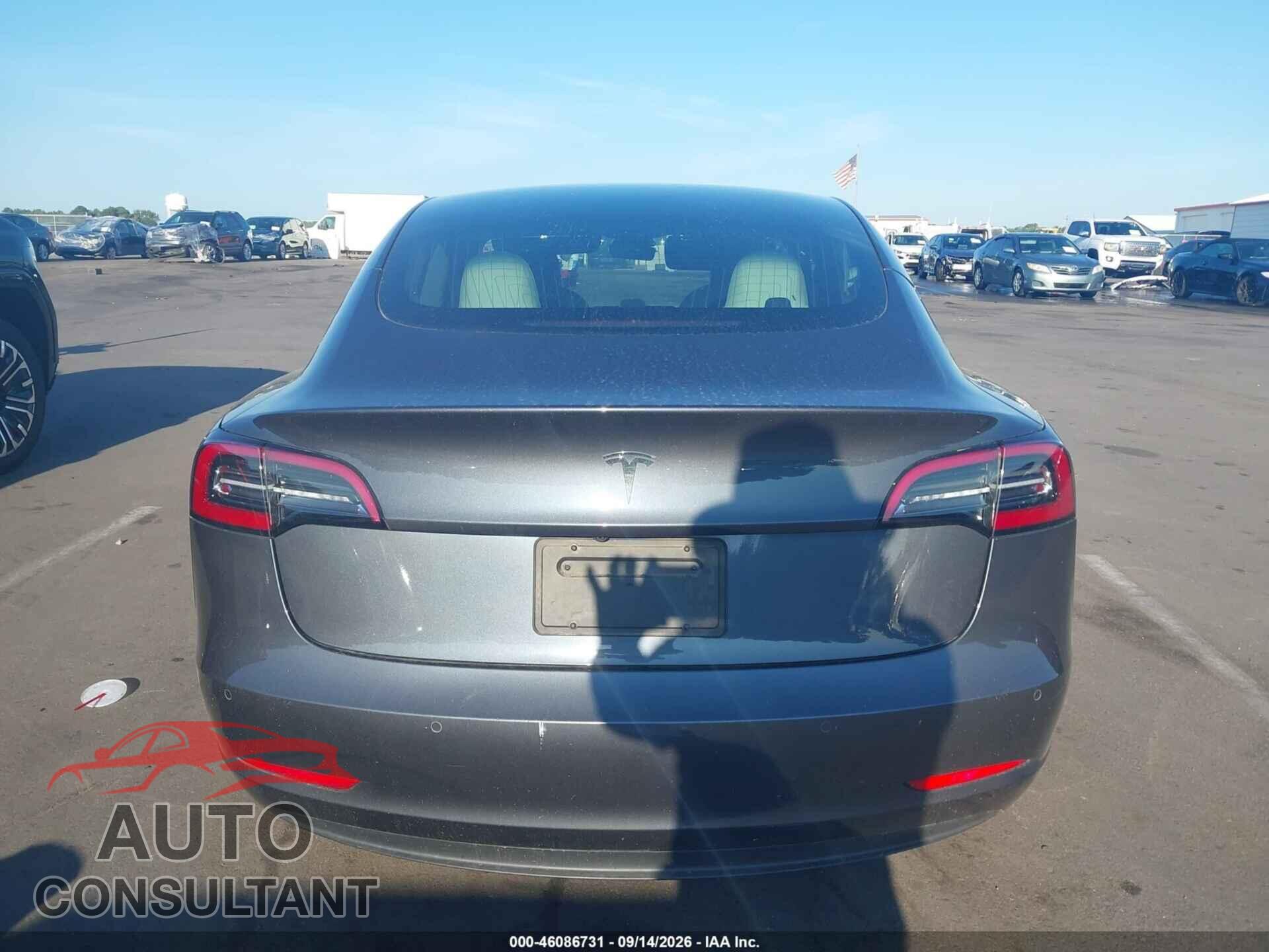 TESLA MODEL 3 2020 - 5YJ3E1EA8LF785802