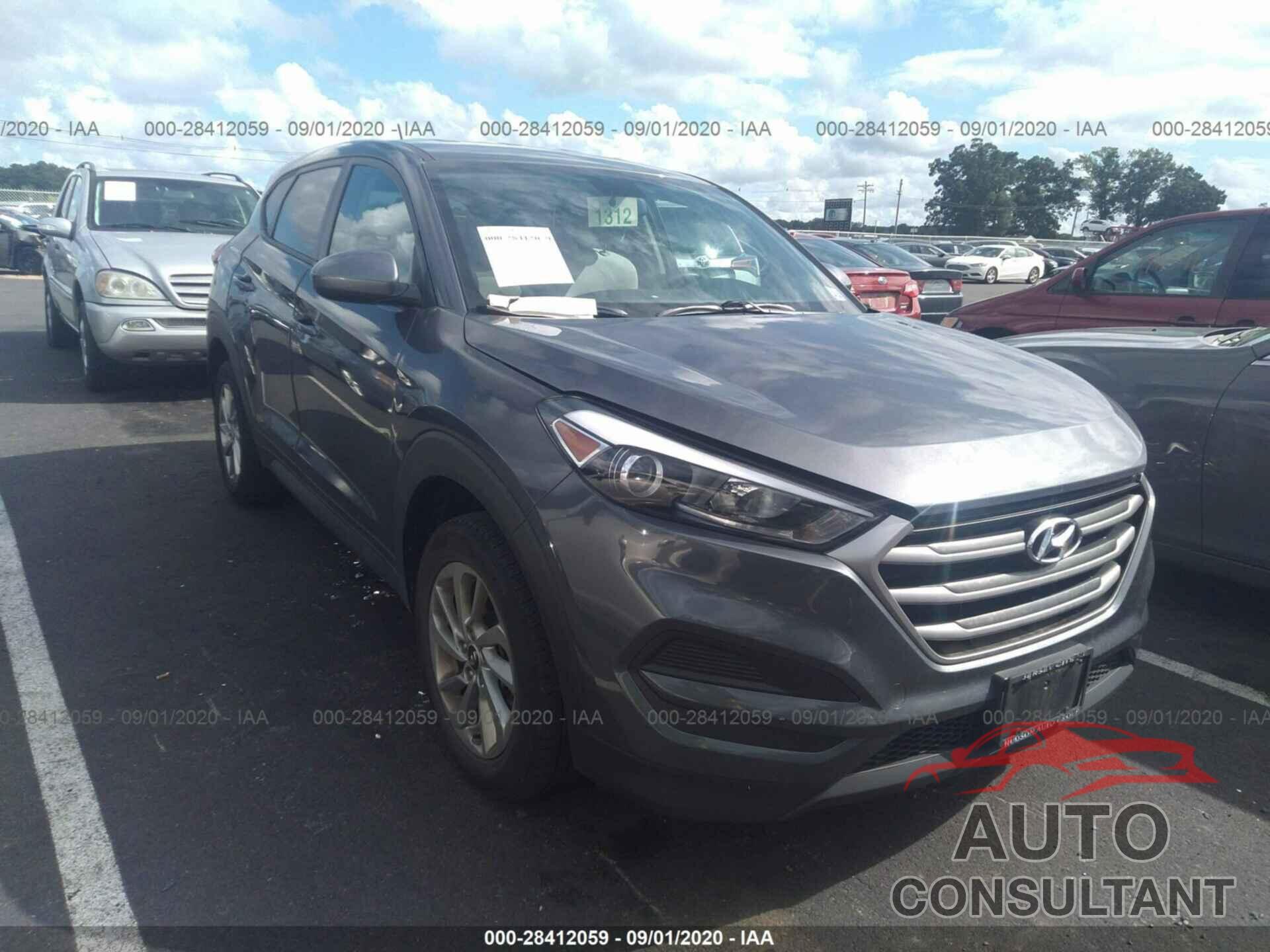 HYUNDAI TUCSON 2017 - KM8J23A46HU390393