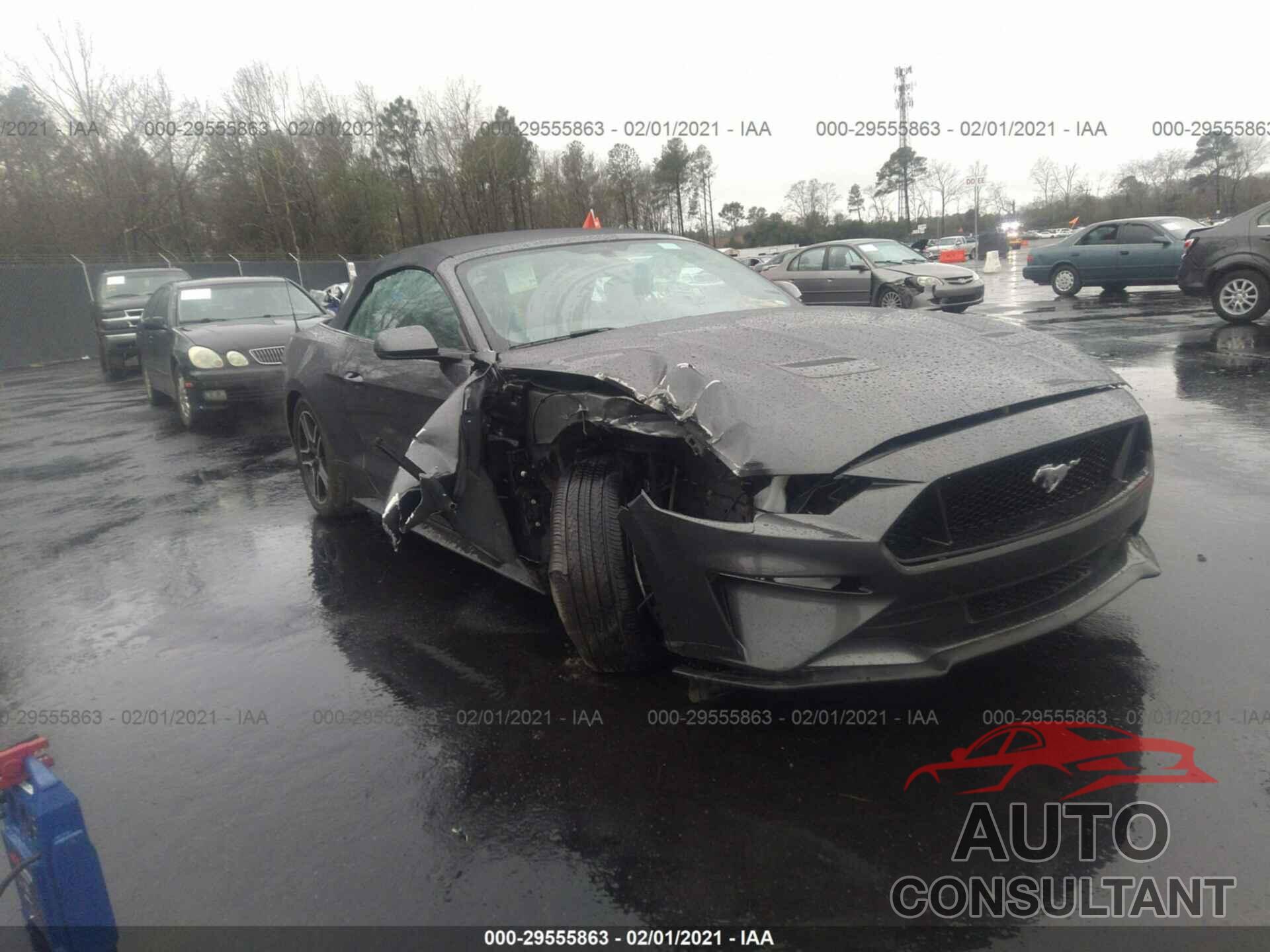 FORD MUSTANG 2019 - 1FATP8FF7K5171665