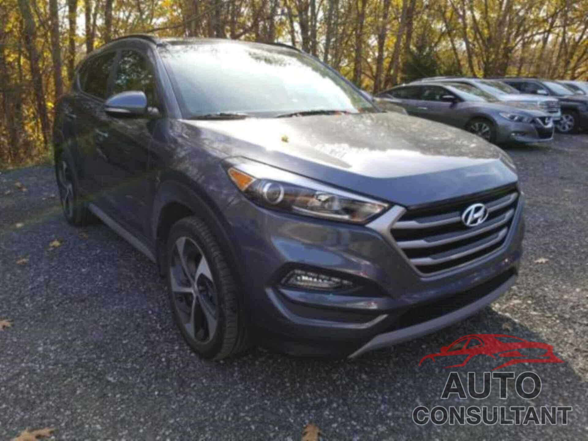 HYUNDAI TUCSON 2017 - KM8J3CA2XHU555213