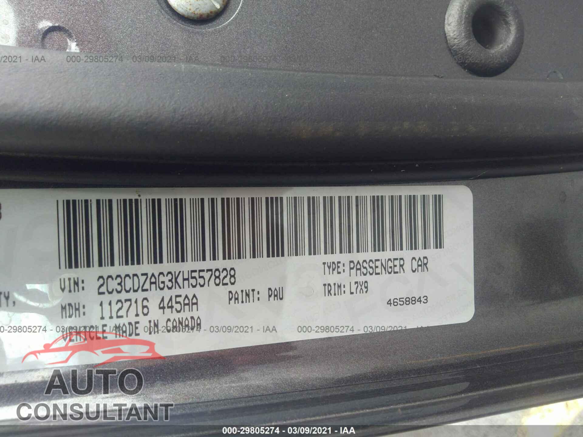 DODGE CHALLENGER 2019 - 2C3CDZAG3KH557828