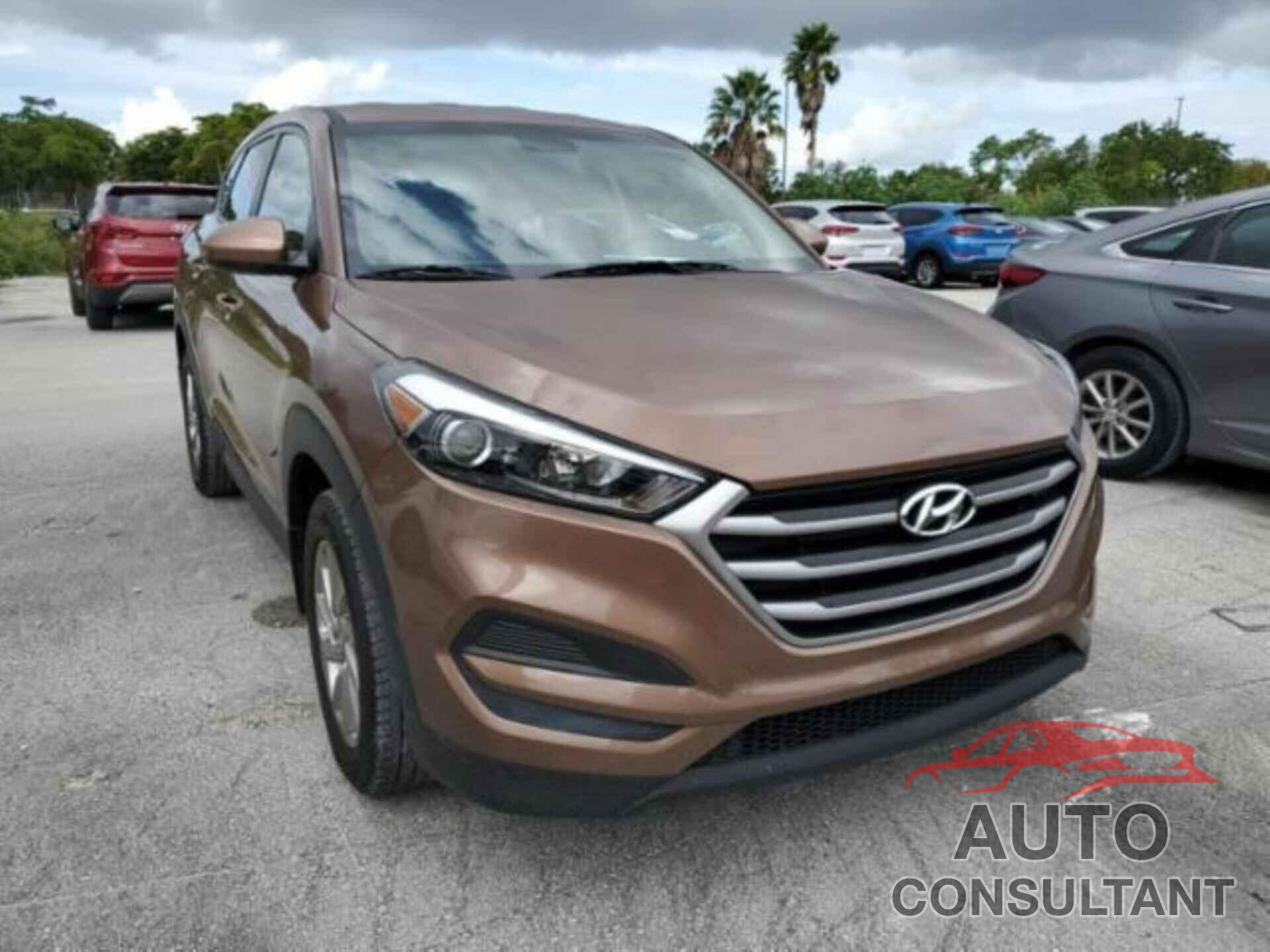 HYUNDAI TUCSON 2017 - KM8J23A41HU527997