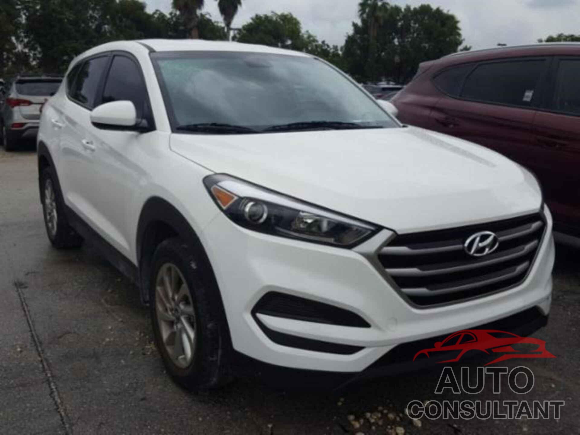 HYUNDAI TUCSON 2017 - KM8J23A48HU340465