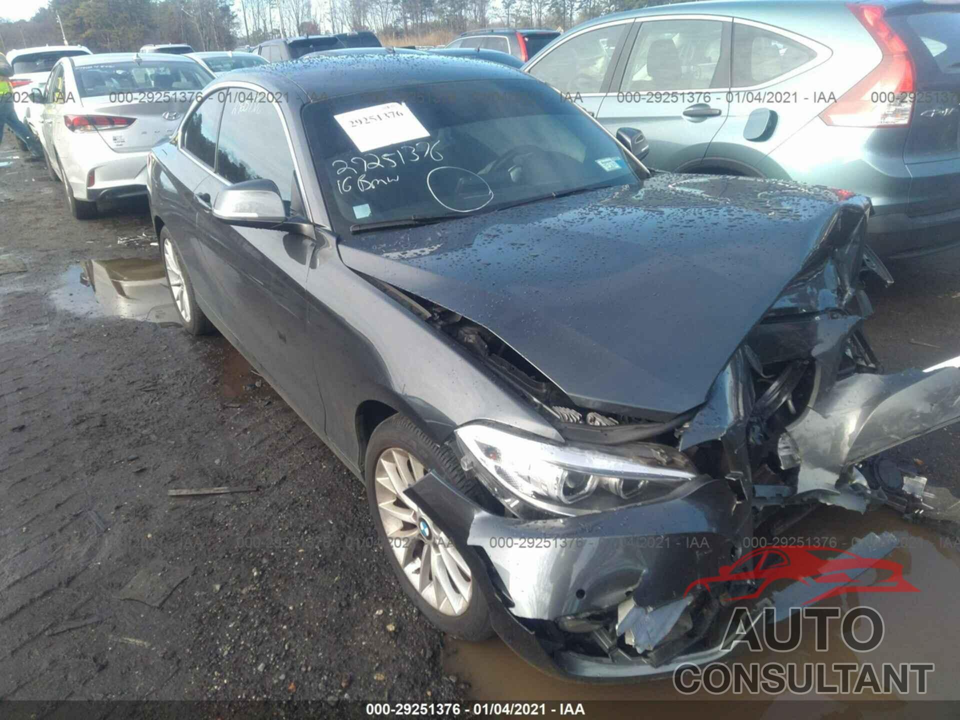 BMW 2 SERIES 2016 - WBA1F9C50GV544863