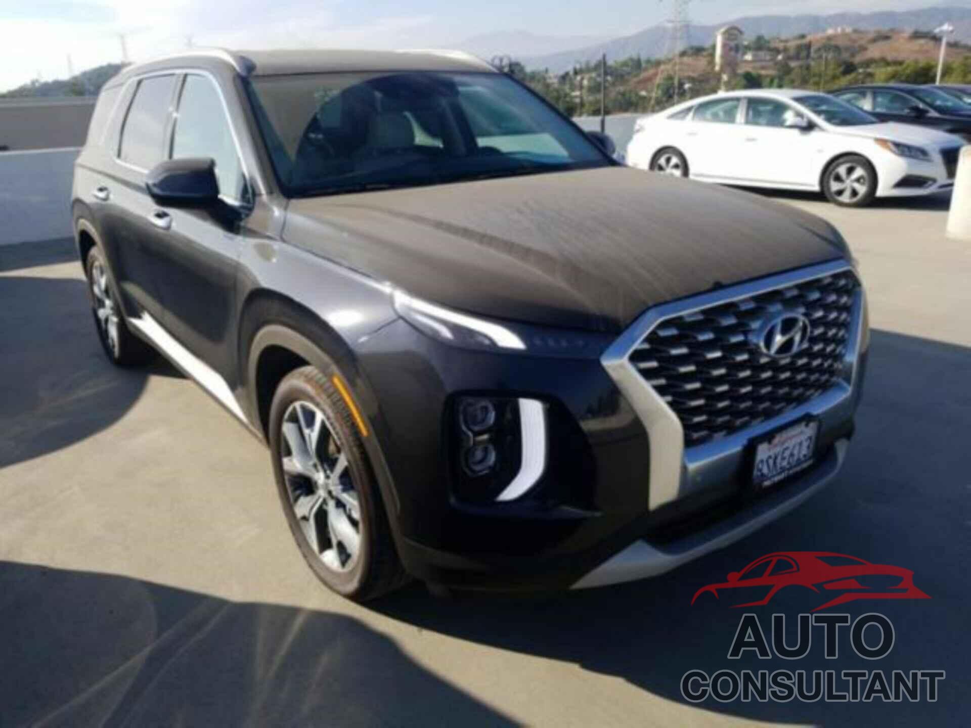 HYUNDAI PALISADE 2020 - KM8R44HE2LU058199