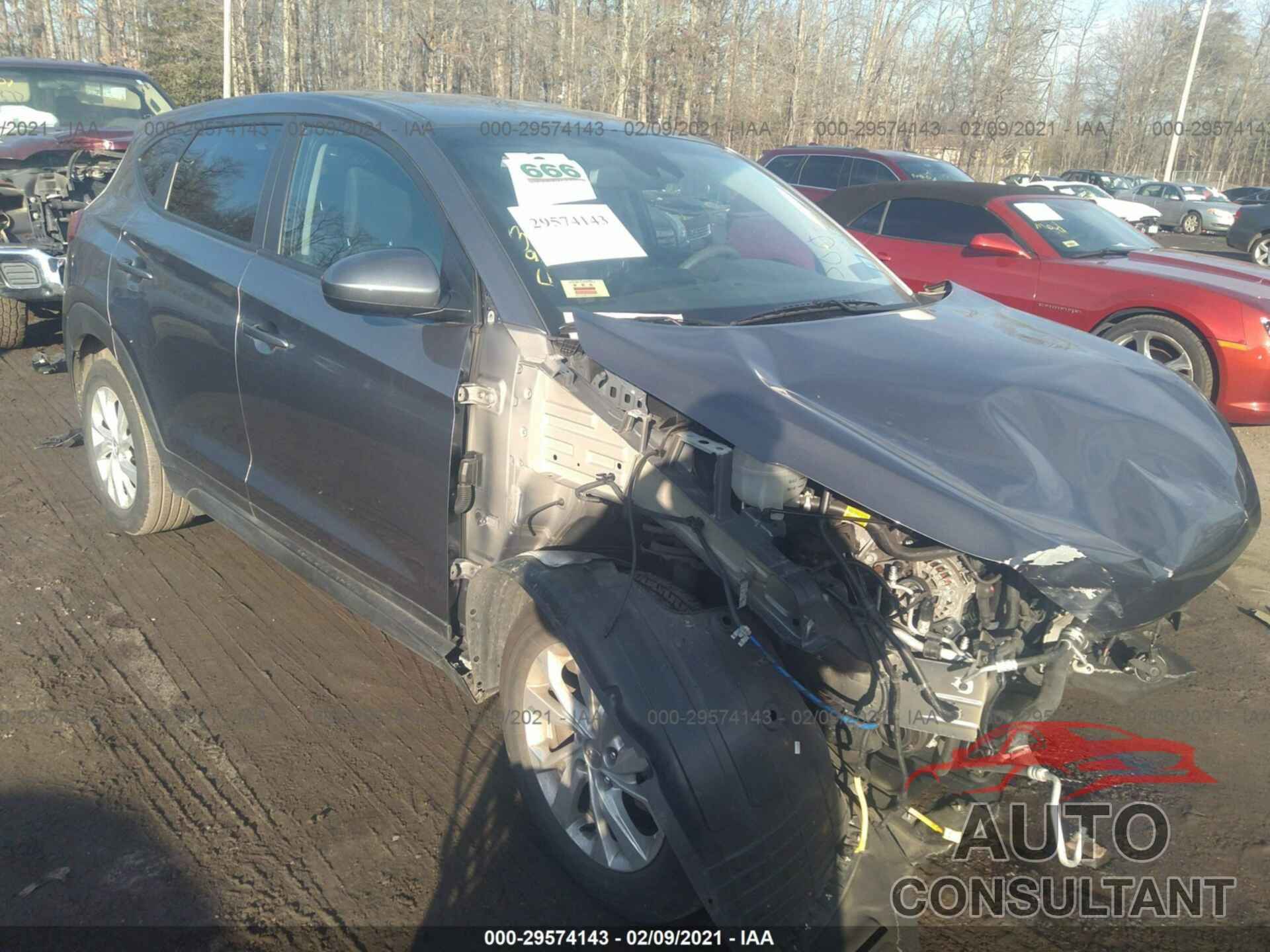 HYUNDAI TUCSON 2019 - KM8J2CA48KU882057