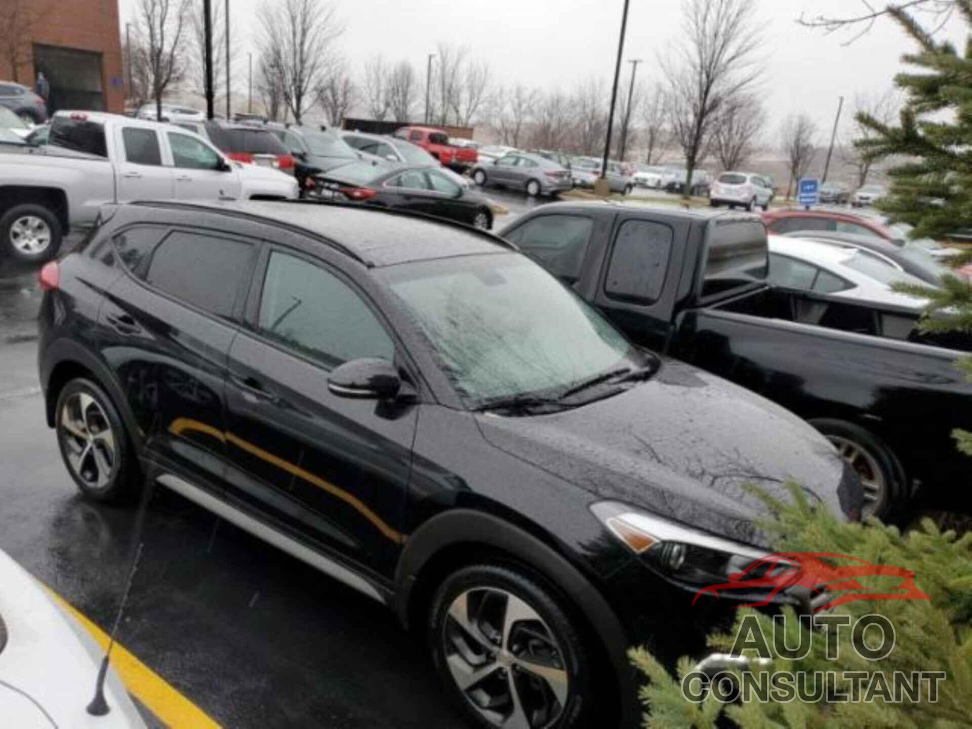 HYUNDAI TUCSON 2017 - KM8J3CA26HU565737